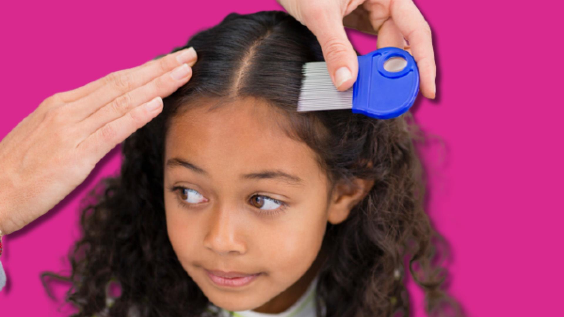 girl being examined for head lice