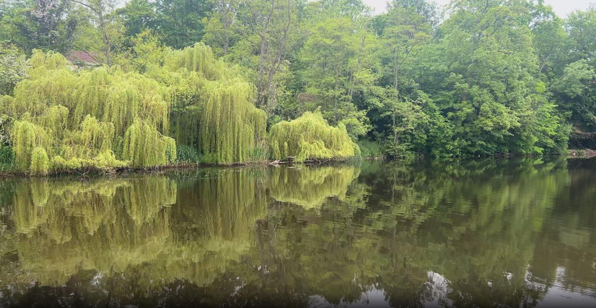 River Nidd