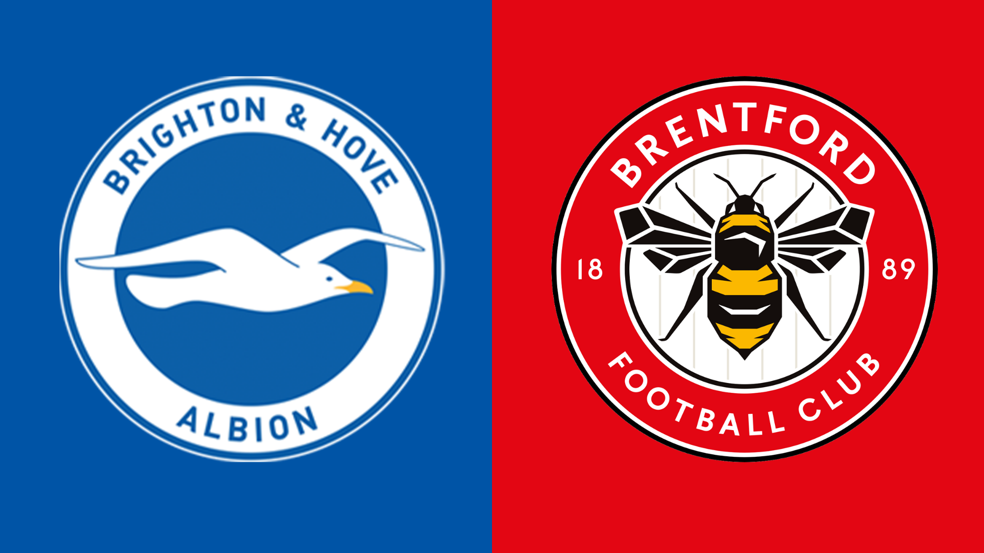 Brighton v Brentford