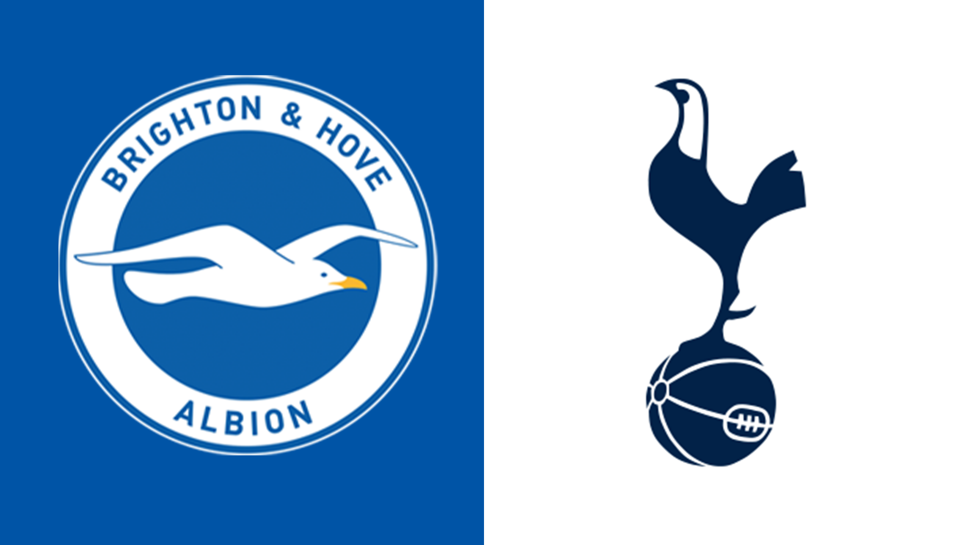 Brighton v Tottenham