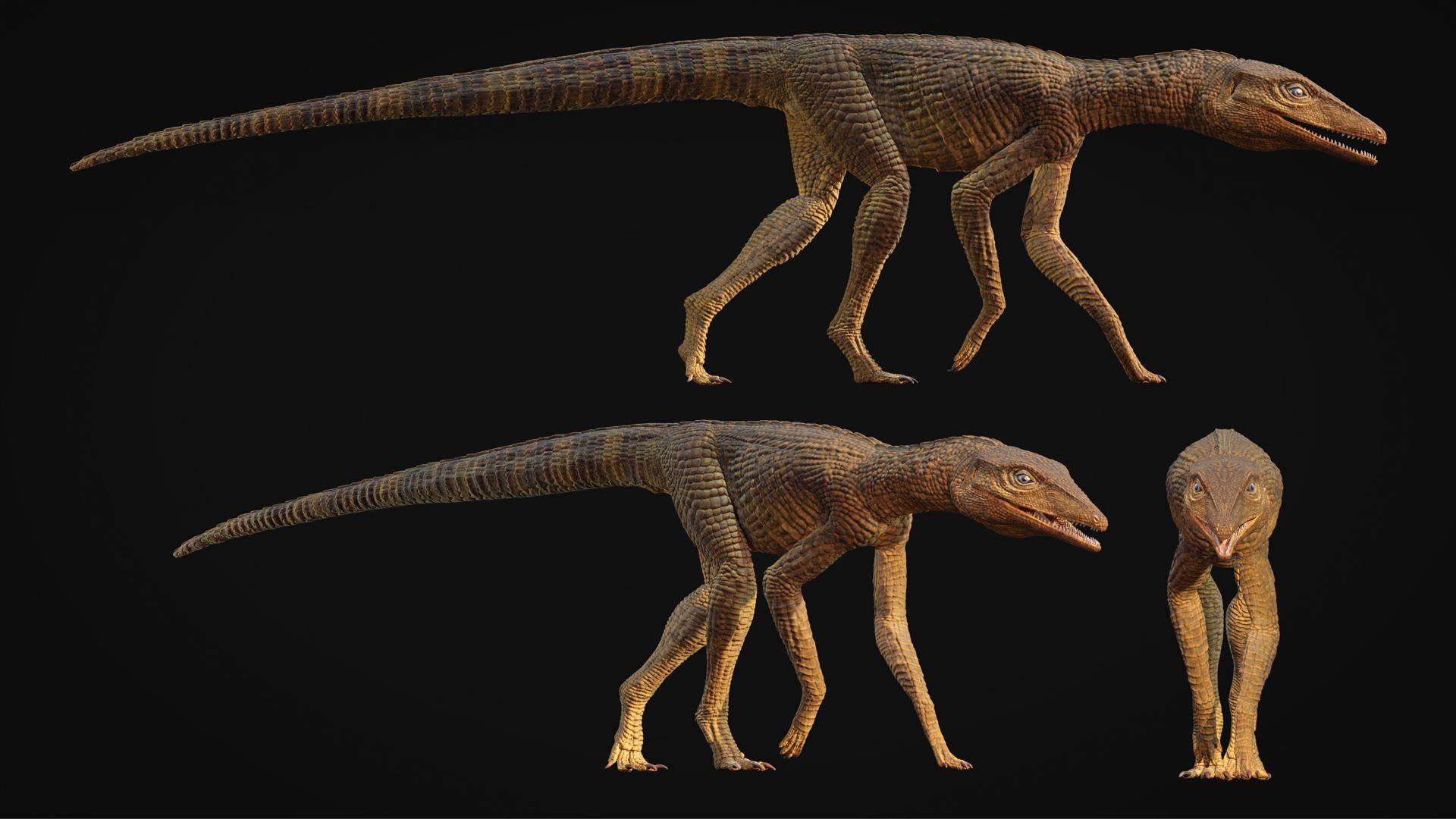 more pictures of what the artist thinks the dinosaur might look like
