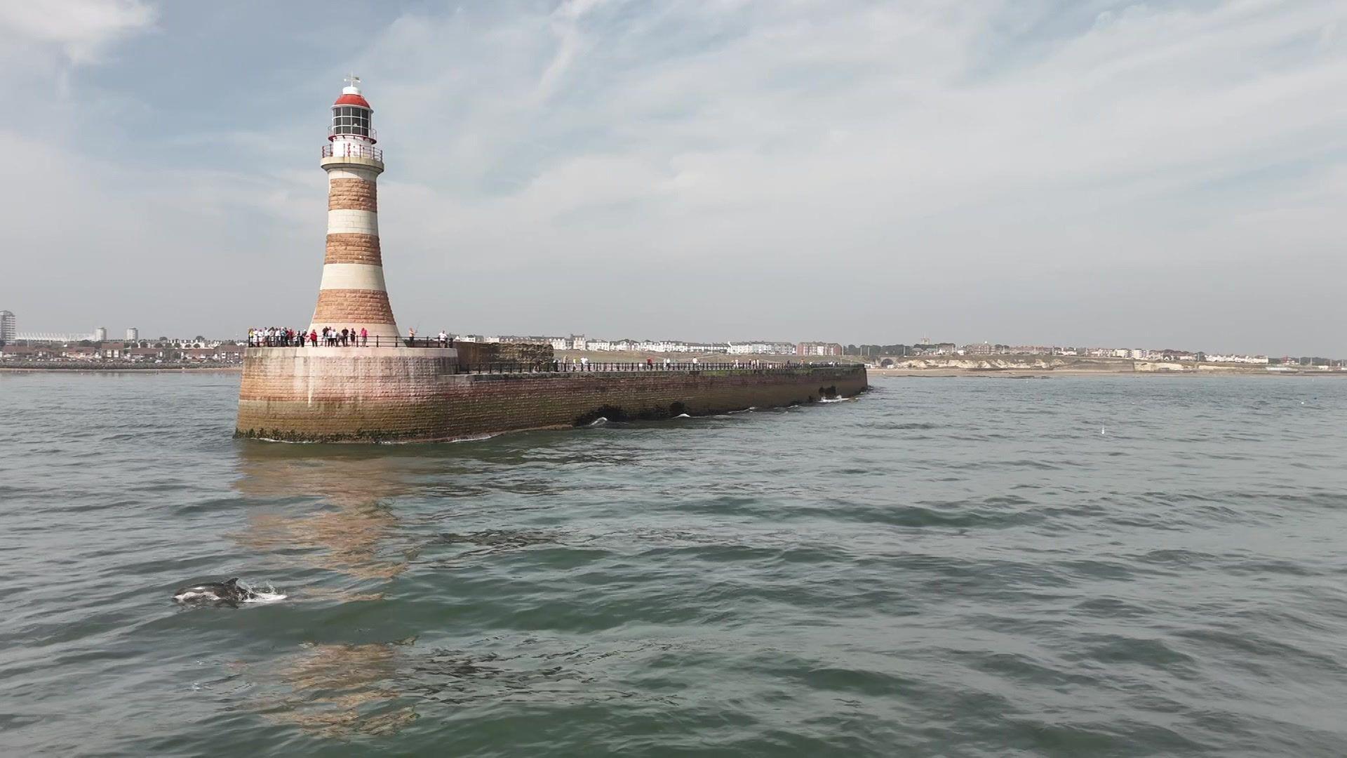 A lighthouse sits on top of a circular, curved stone and brick pier, which is surrounded by the sea. People can be seen standing on the pier. It is a sunny day and there is a dolphin in the water.