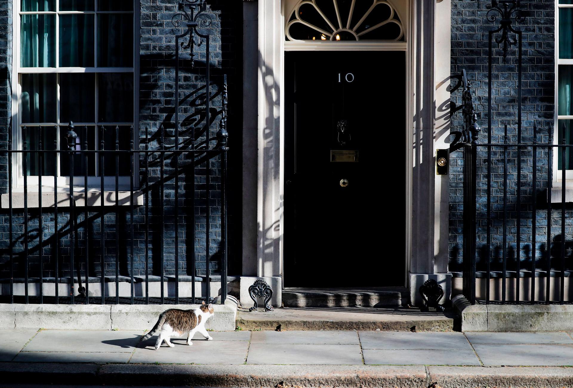 Downing Street