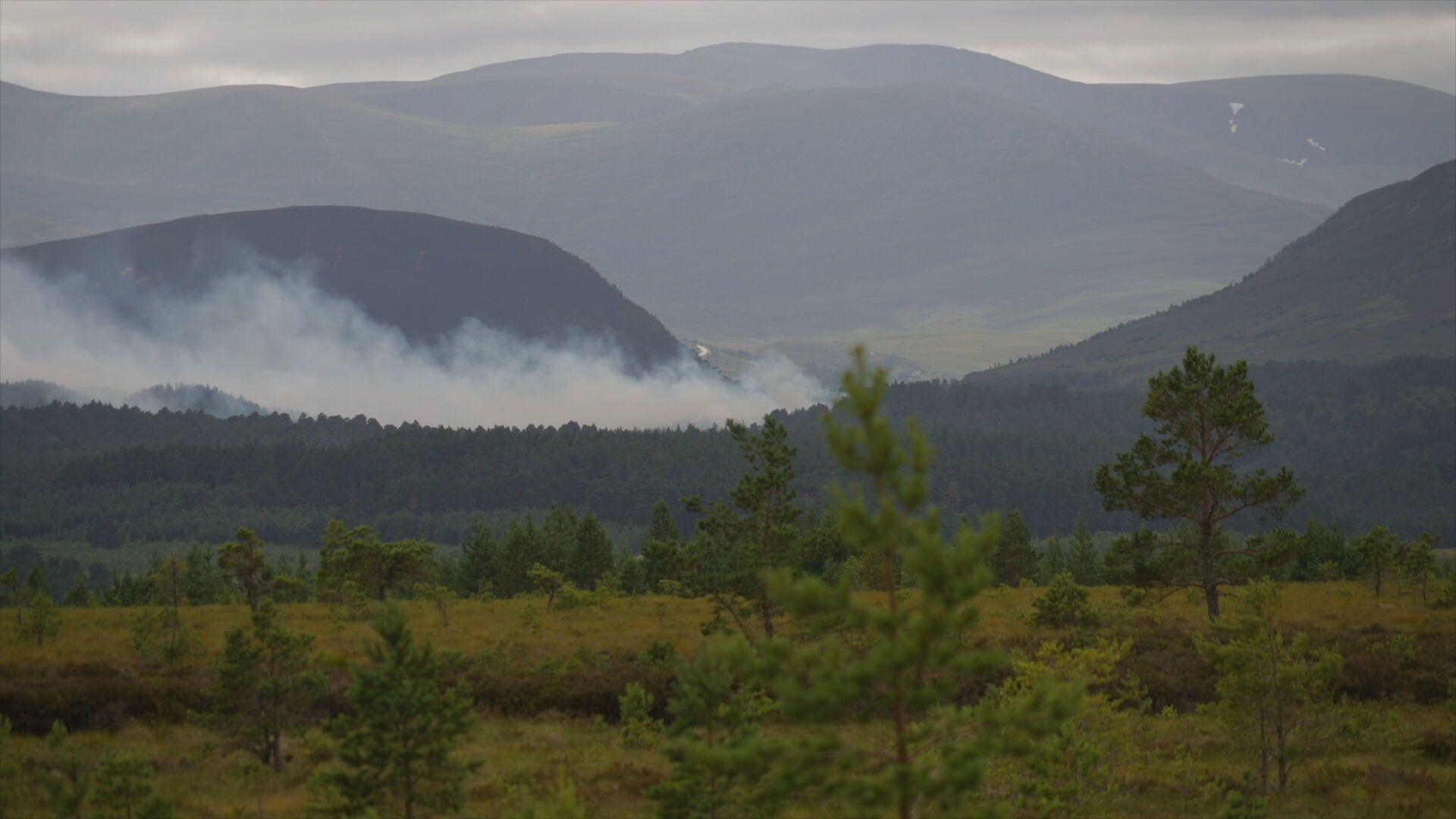 Teine fiadhaich ann am Pàirc Nàiseanta a' Mhonaidh Ruaidh