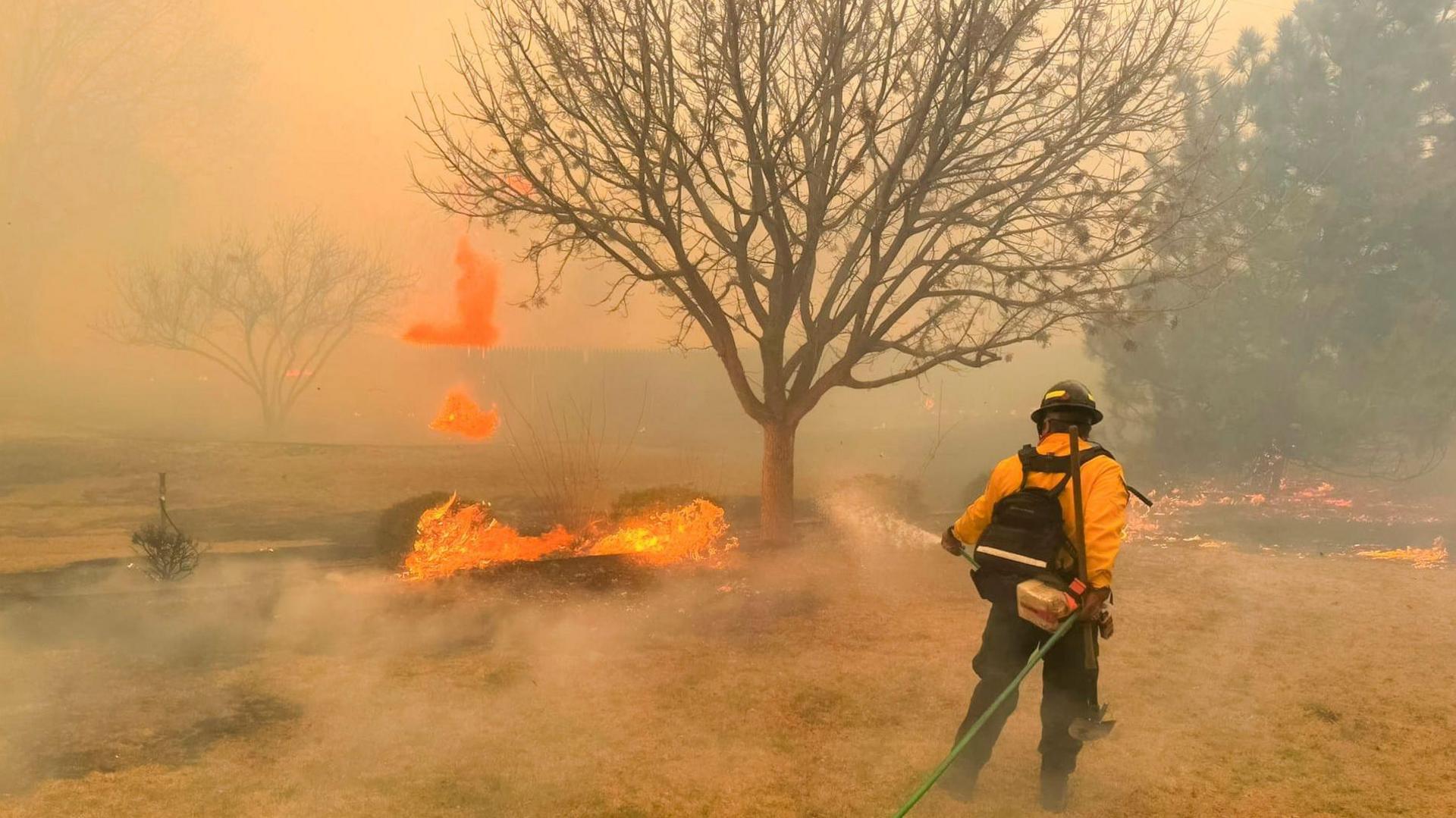 Flames, tree, smoke, firefighter with hose