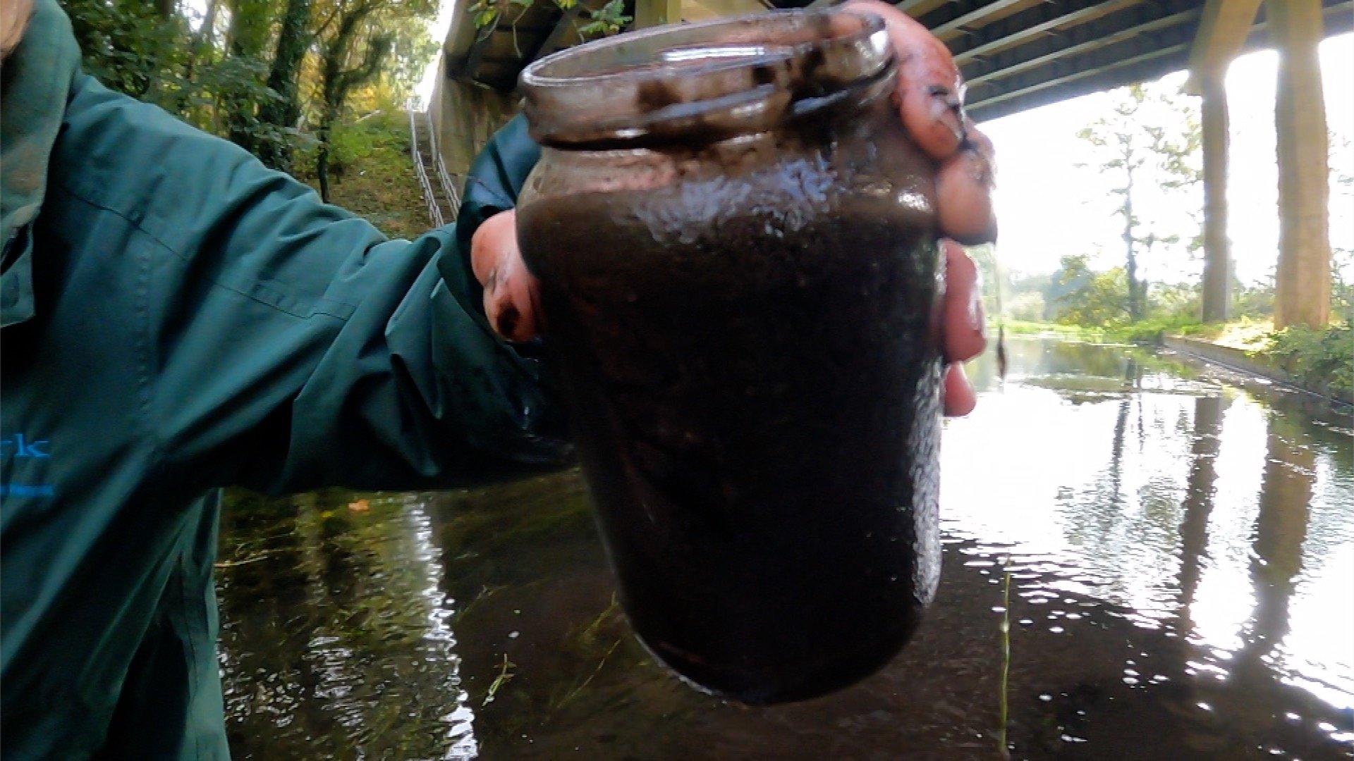 Jar of polluted water