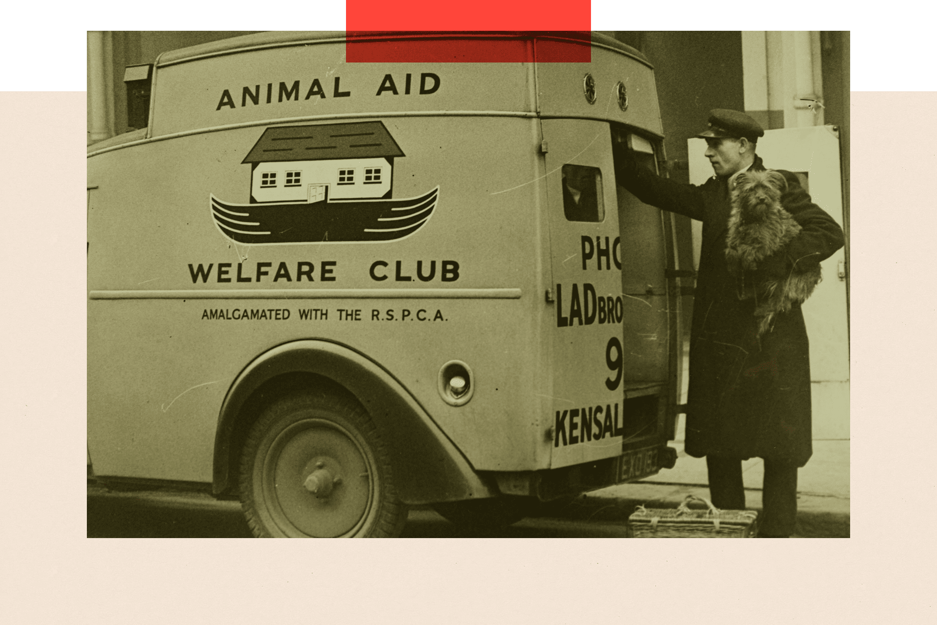 An ambulance run by the Dog Licence Club at the London's Animal Aid and Welfare Club