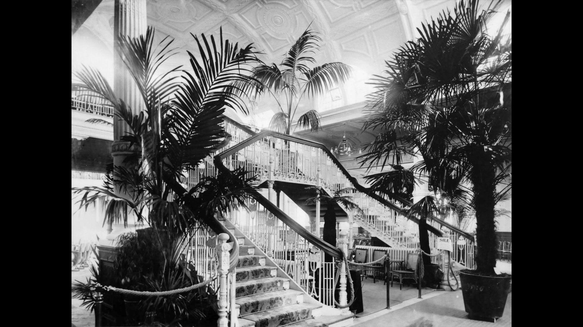 A black and white photo shows a white staircase with large palm trees in pots all around it