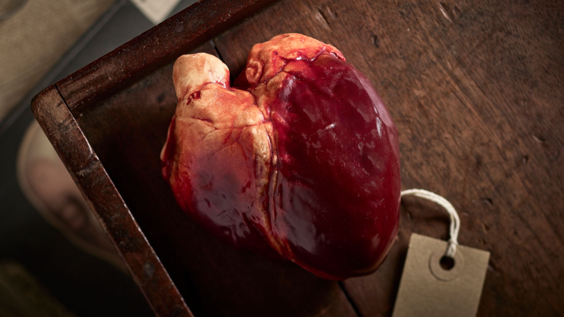 An anatomical heart on a wooden table. While the heart has created to be life like it is made out of chocolate and has been painted.