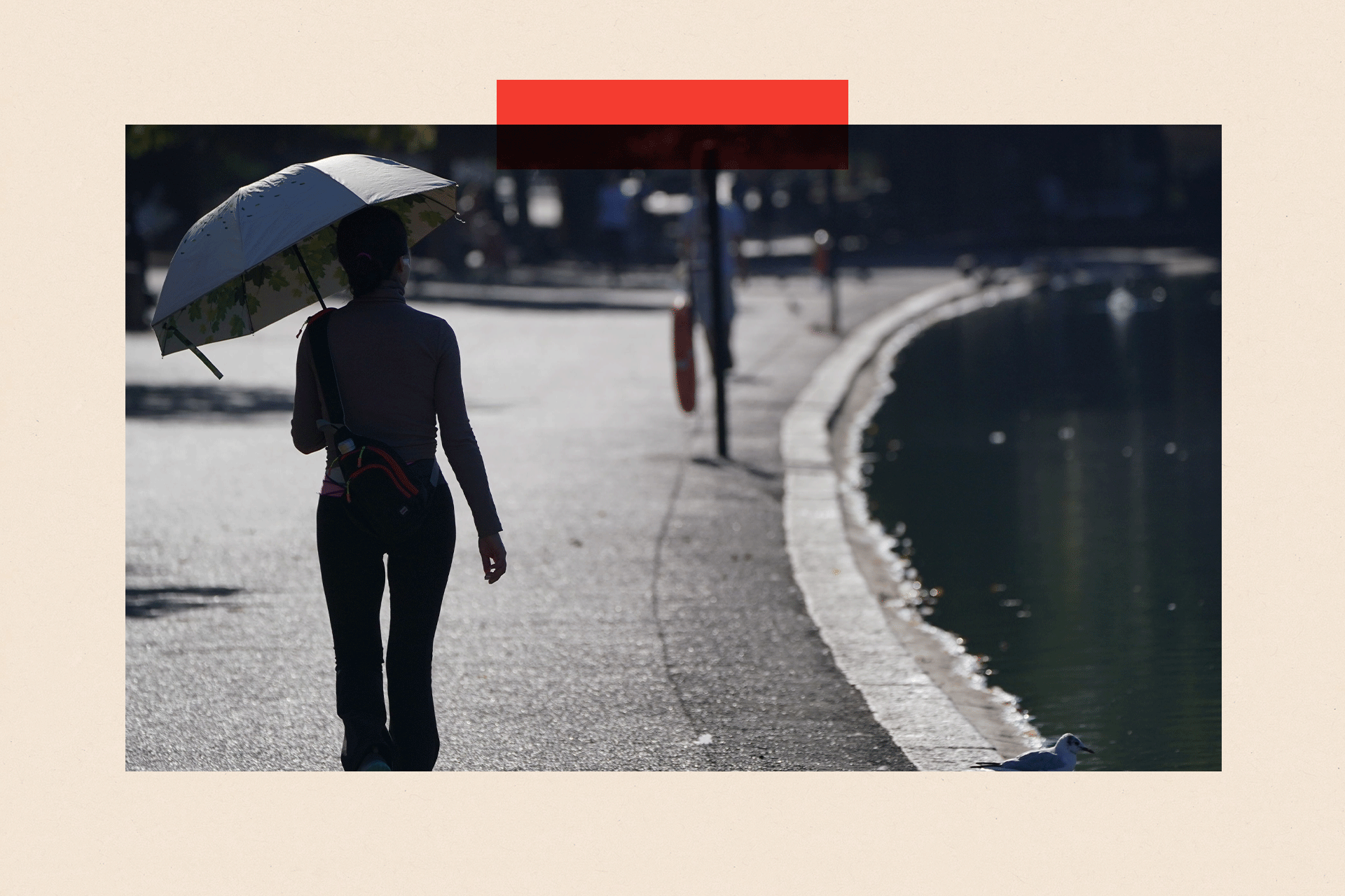A walker taking shade beneath an umbrella as they walk beside The Serpentine during hot weather in Hyde Park in London in 2022