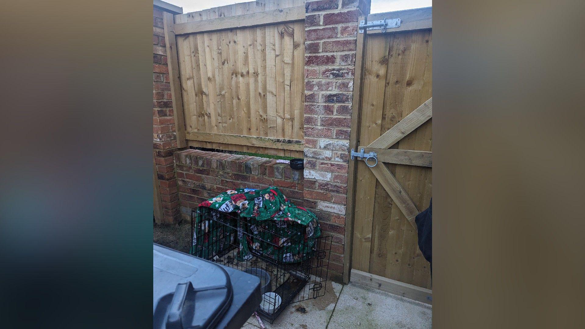 A black crate with a green blanked draped halfway over it can be seen behind a black bin. The crate is placed in front of a red brick wall and a wooden door can be seen to the right.