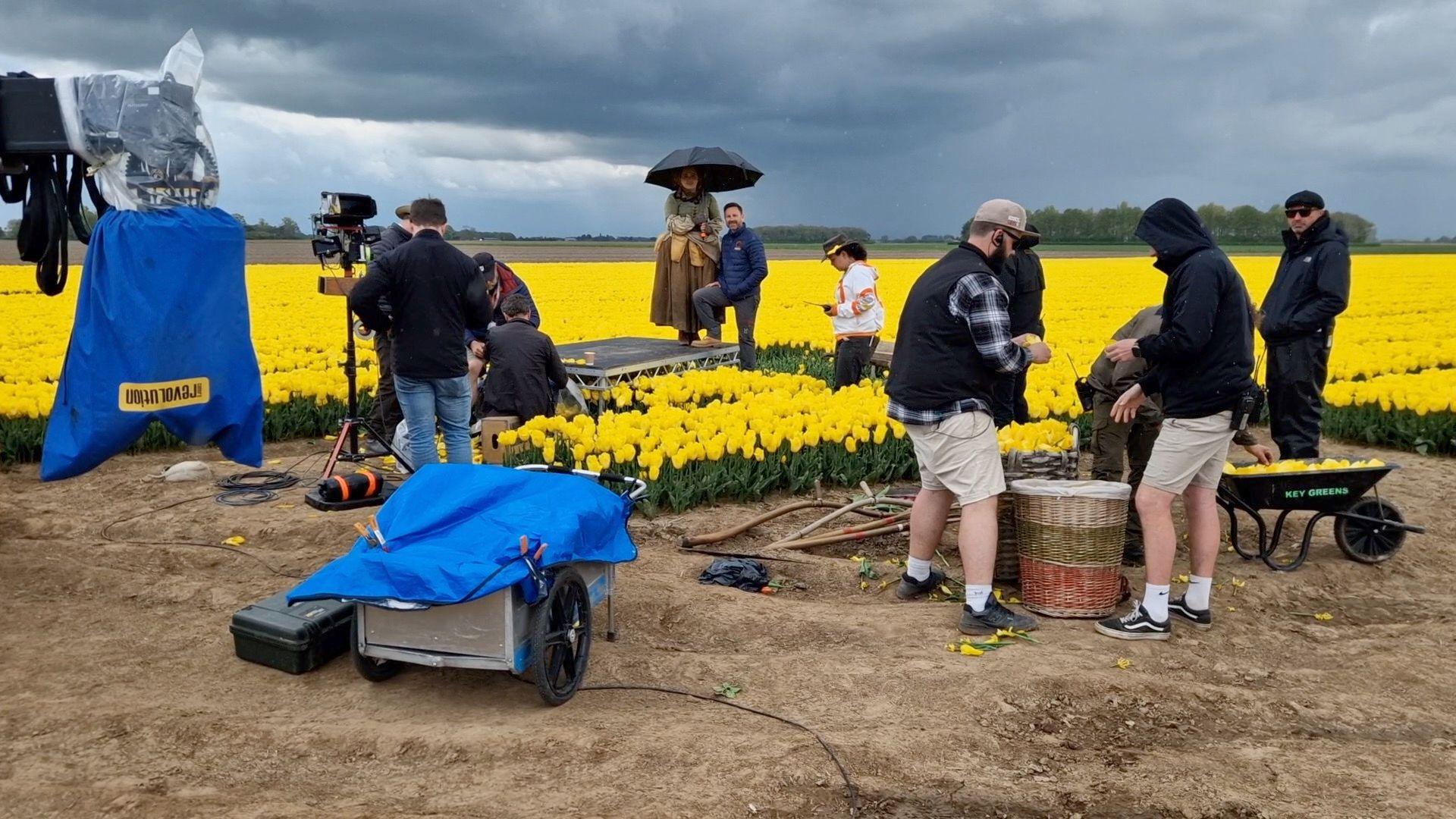 Film crew can be seen with props and cameras amongst yellow tulips in a field.