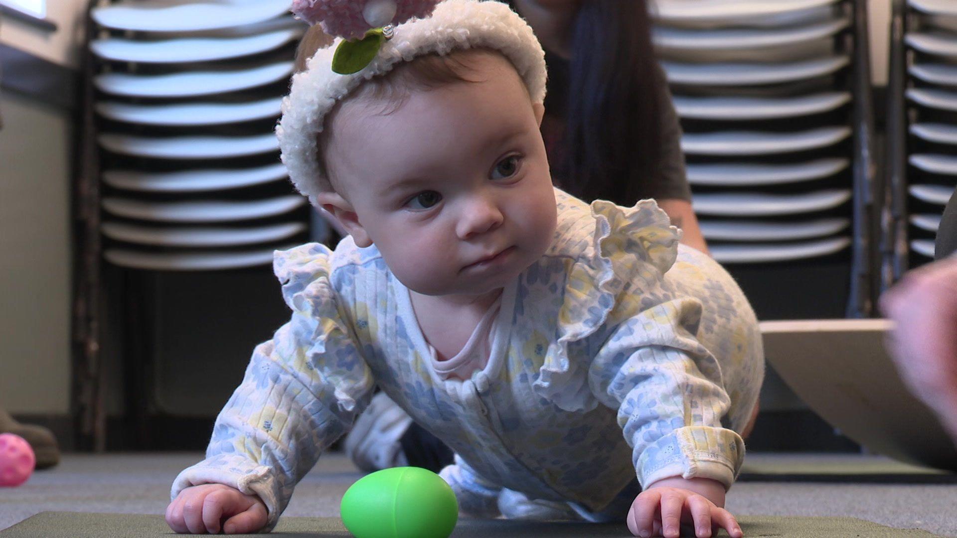 Babi ym Mhenrhyndeudraeth