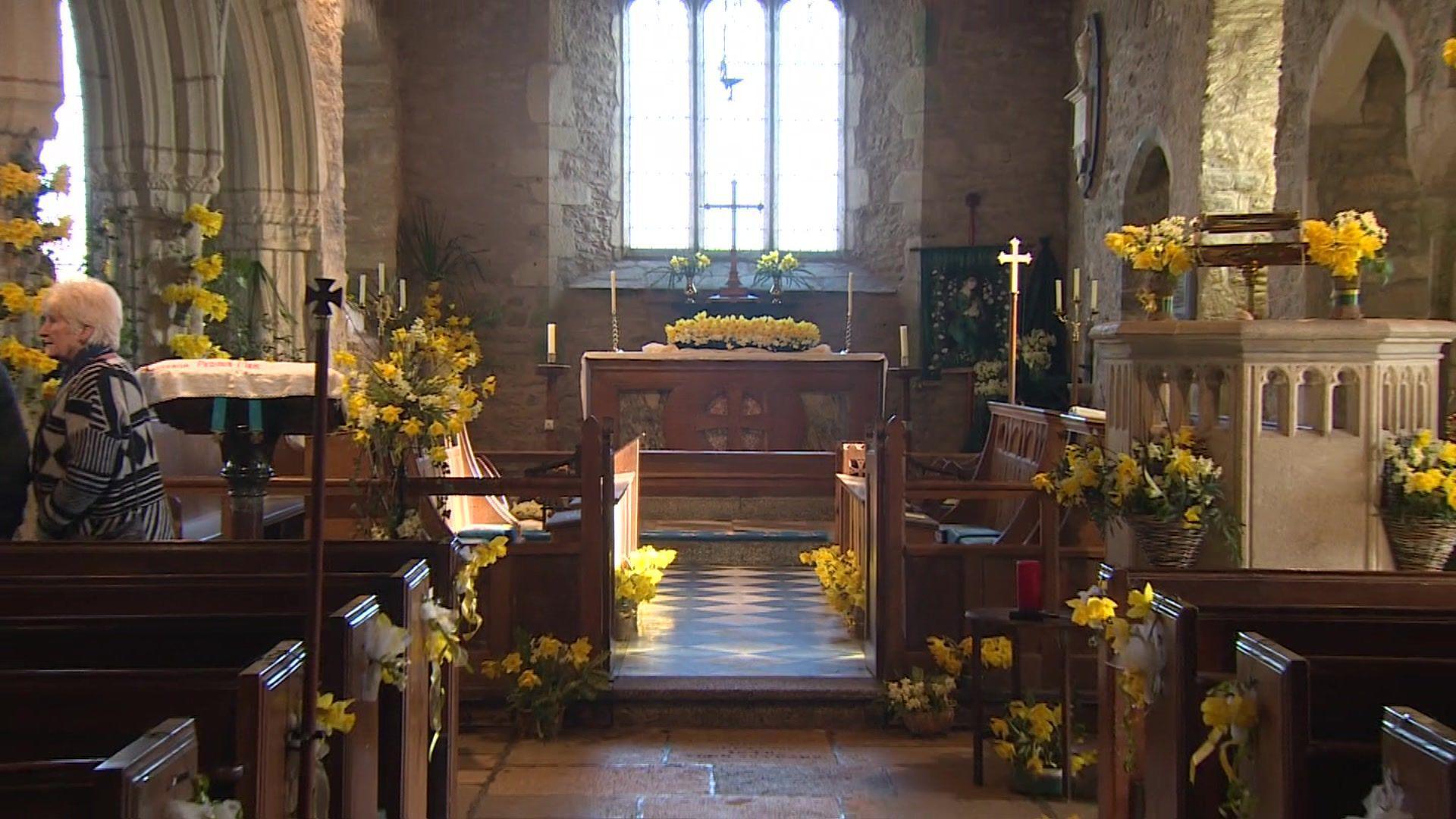 The Mawgan Church Daffodil Festival in 2015. There are yellow daffodils scattered around the church on seats, the altar and on stone pillars around the room.