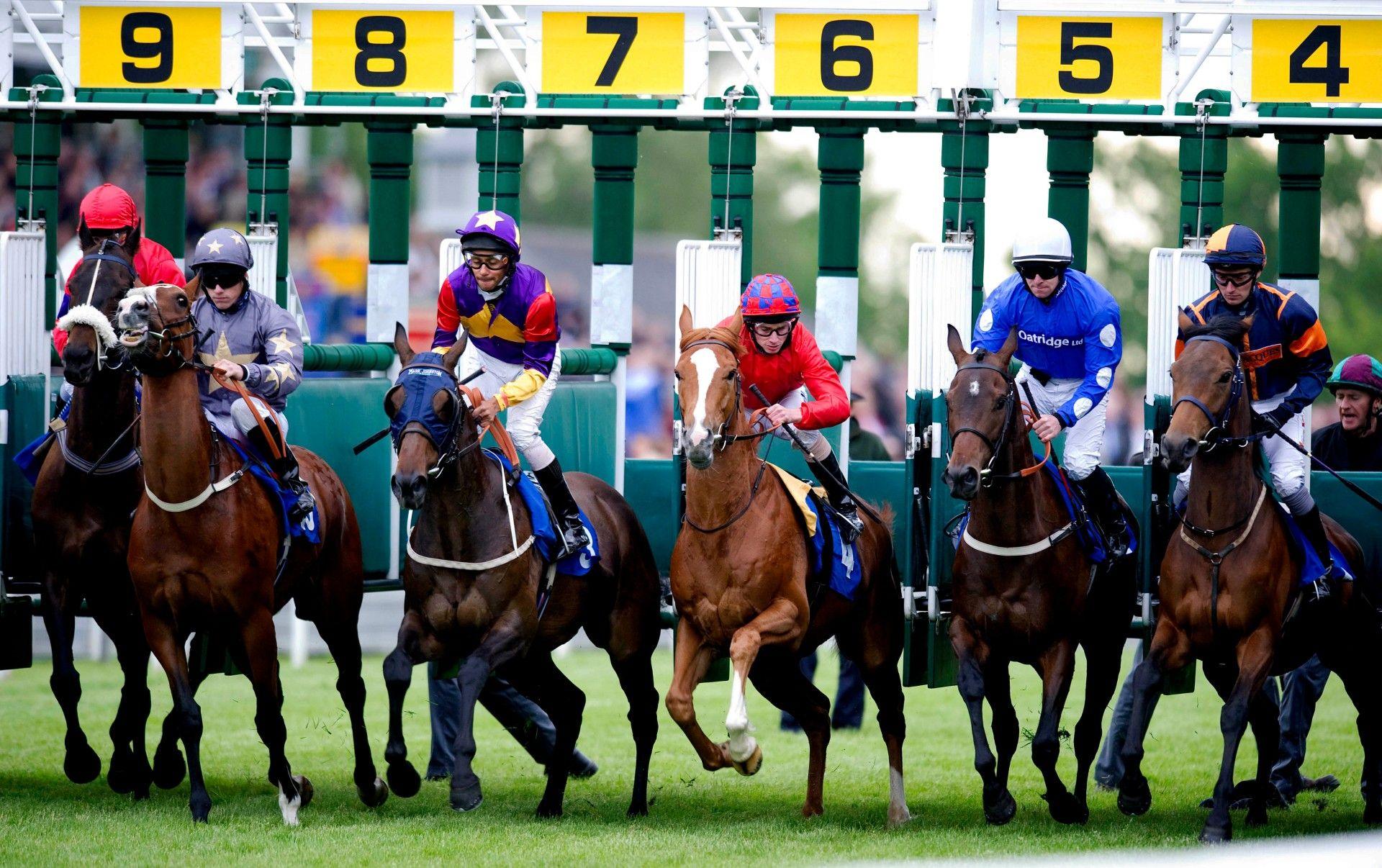 Horses set off in a race at Hamilton Park Racecourse.