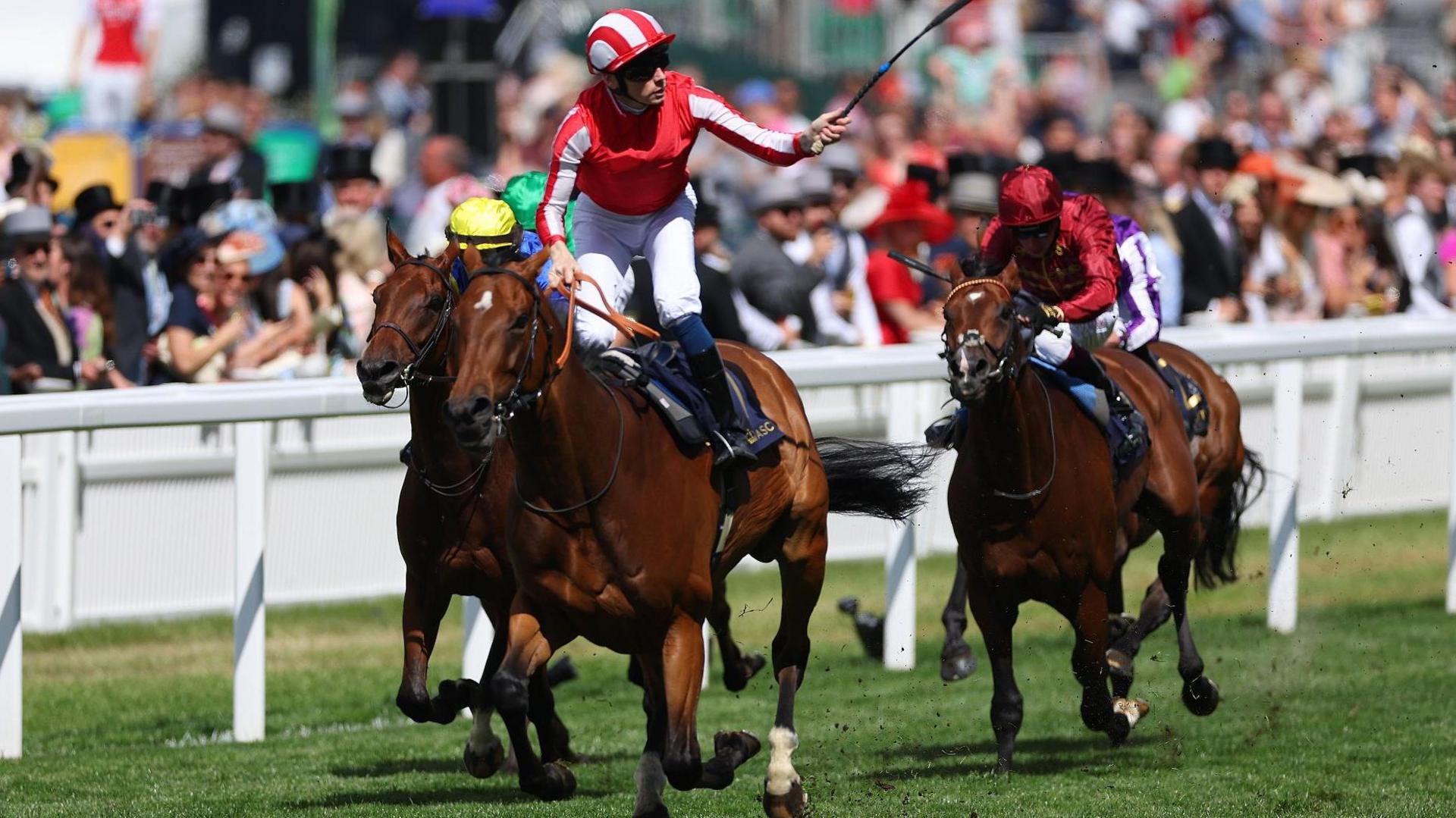 Jockey Callum Shepherd raises his whip to salute the crowd after winning the Hardwicke Stakes on Isle Of Jura at Royal Ascot in 2024