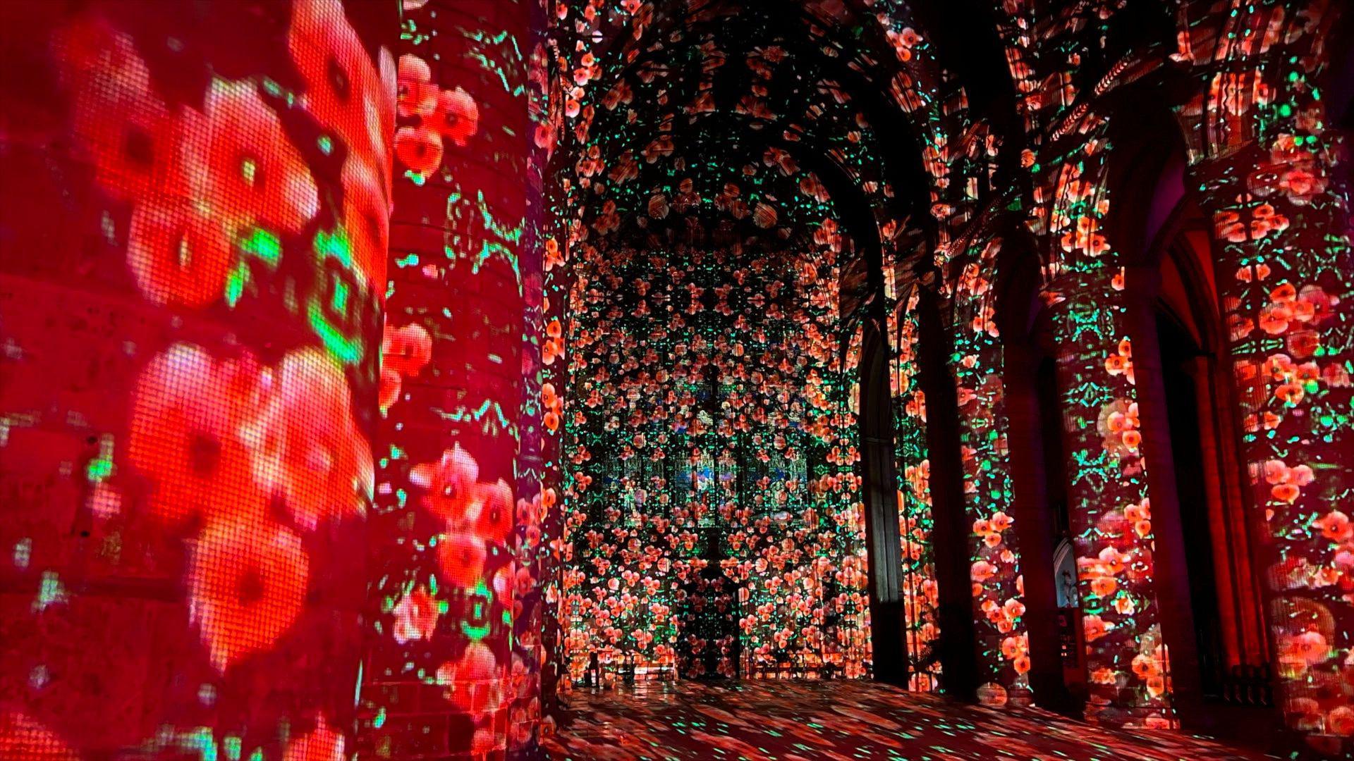 The inside of Gloucester Cathedral, illuminated by projected red poppies with green leaves.
