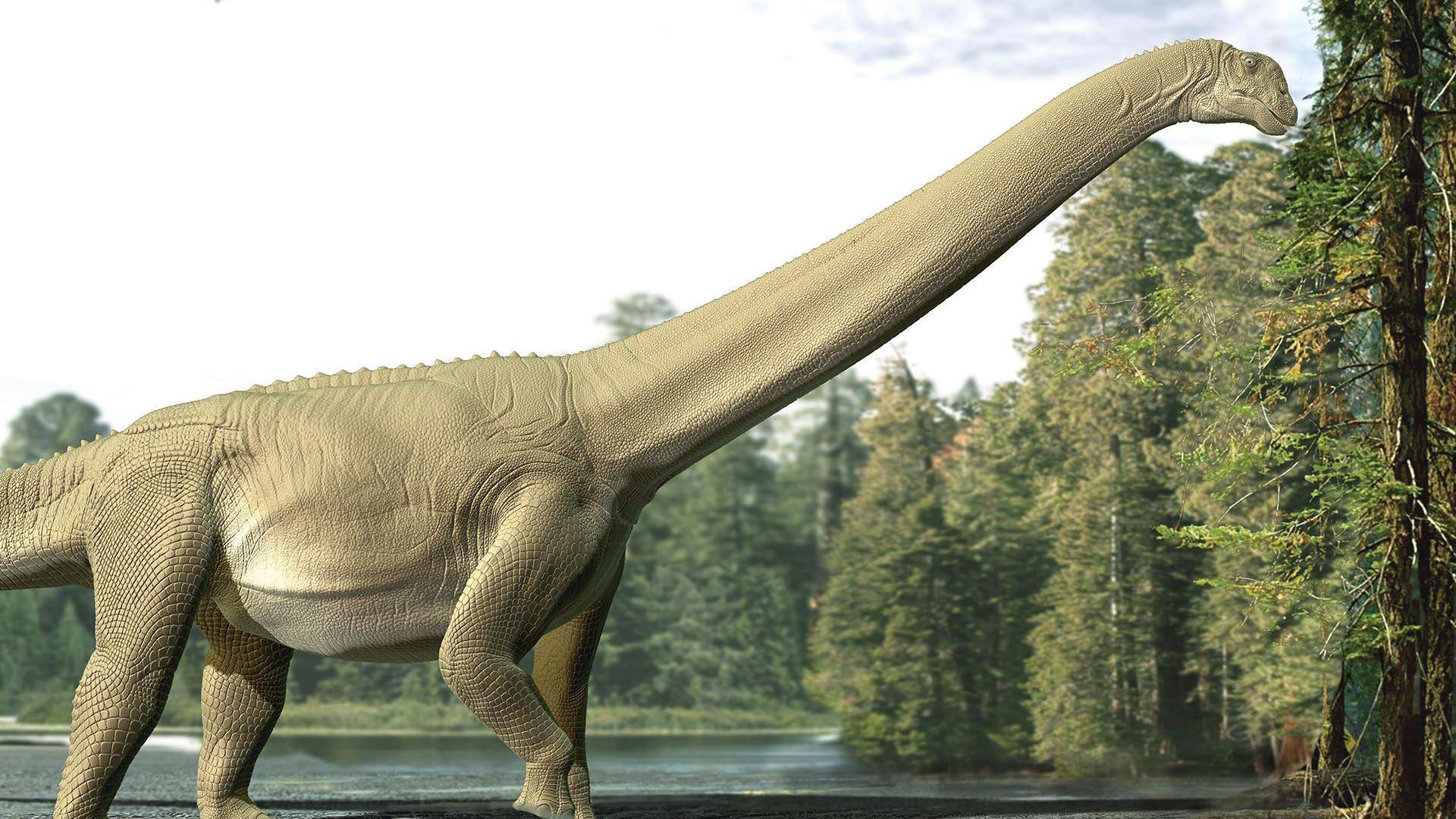 An artists impression of Judy the dinosaur.