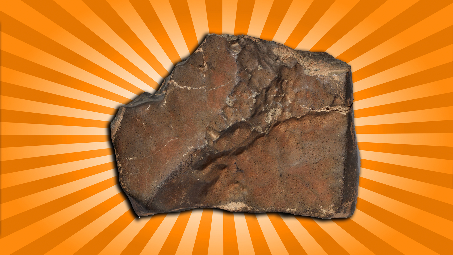 Martian Meteorite NWA 16788.