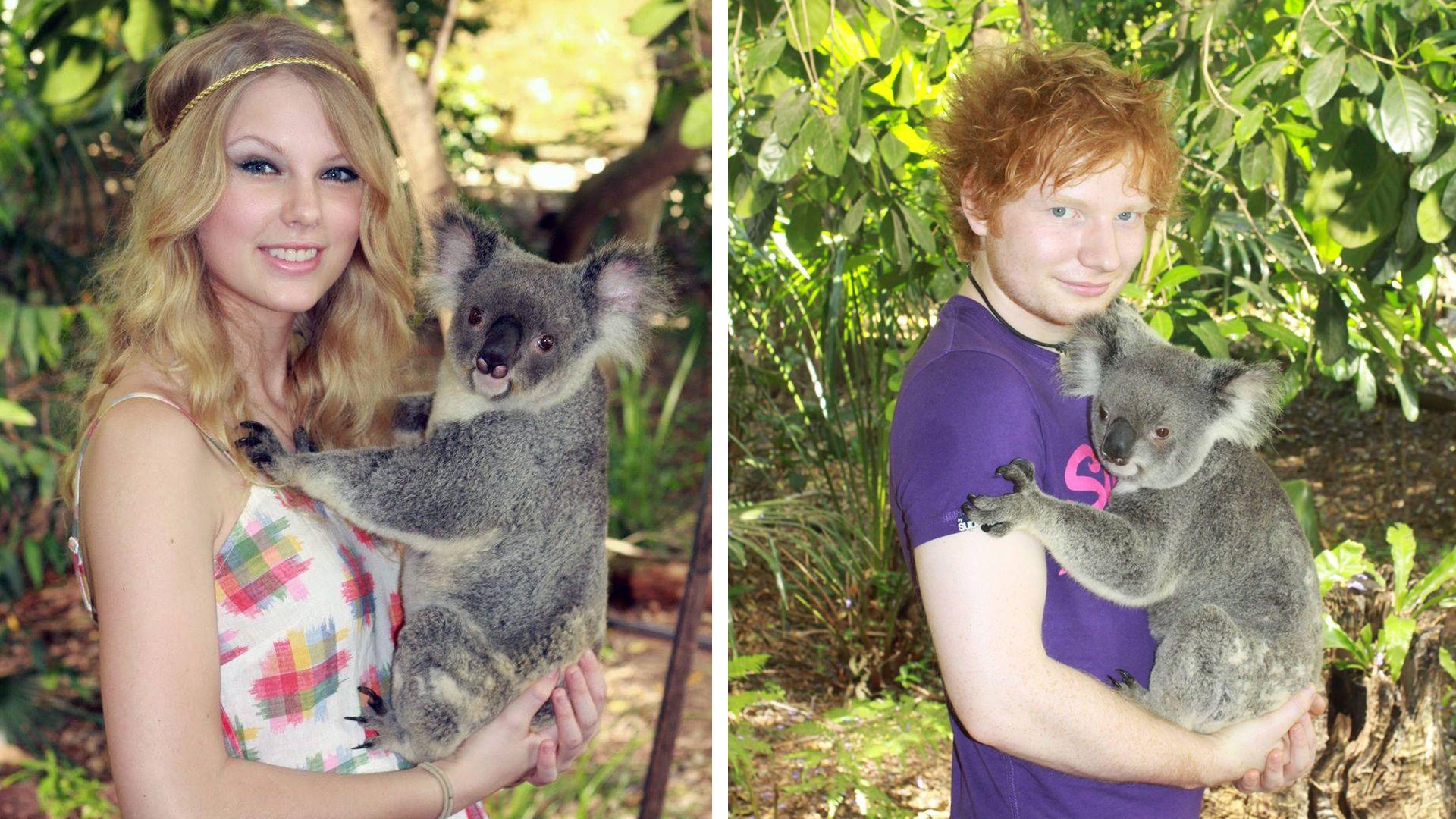 taylor swift and ed sheeran holding a koala