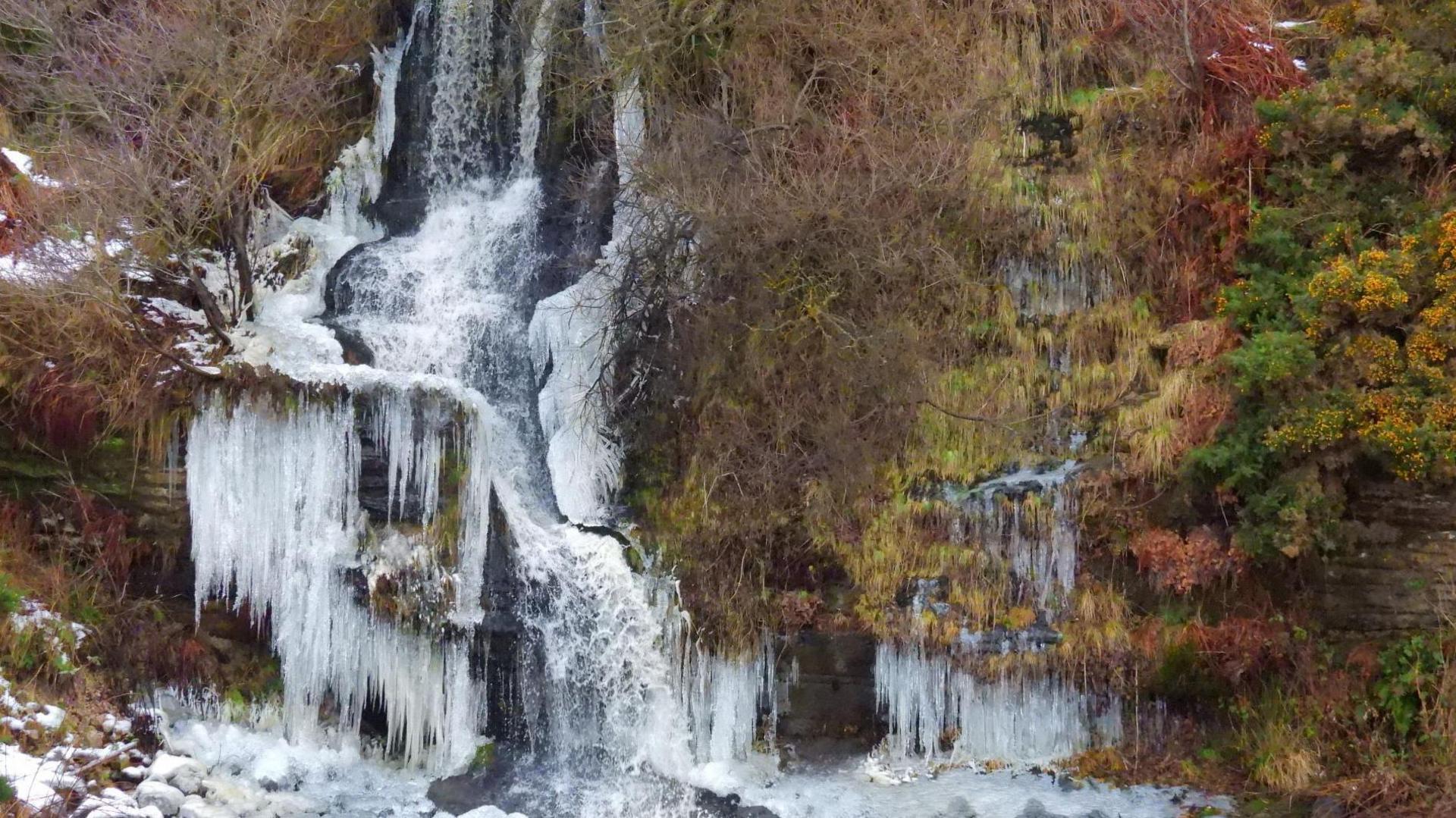 The waterfall is among an area of trees some of the water is frozen and there are large icicles. 