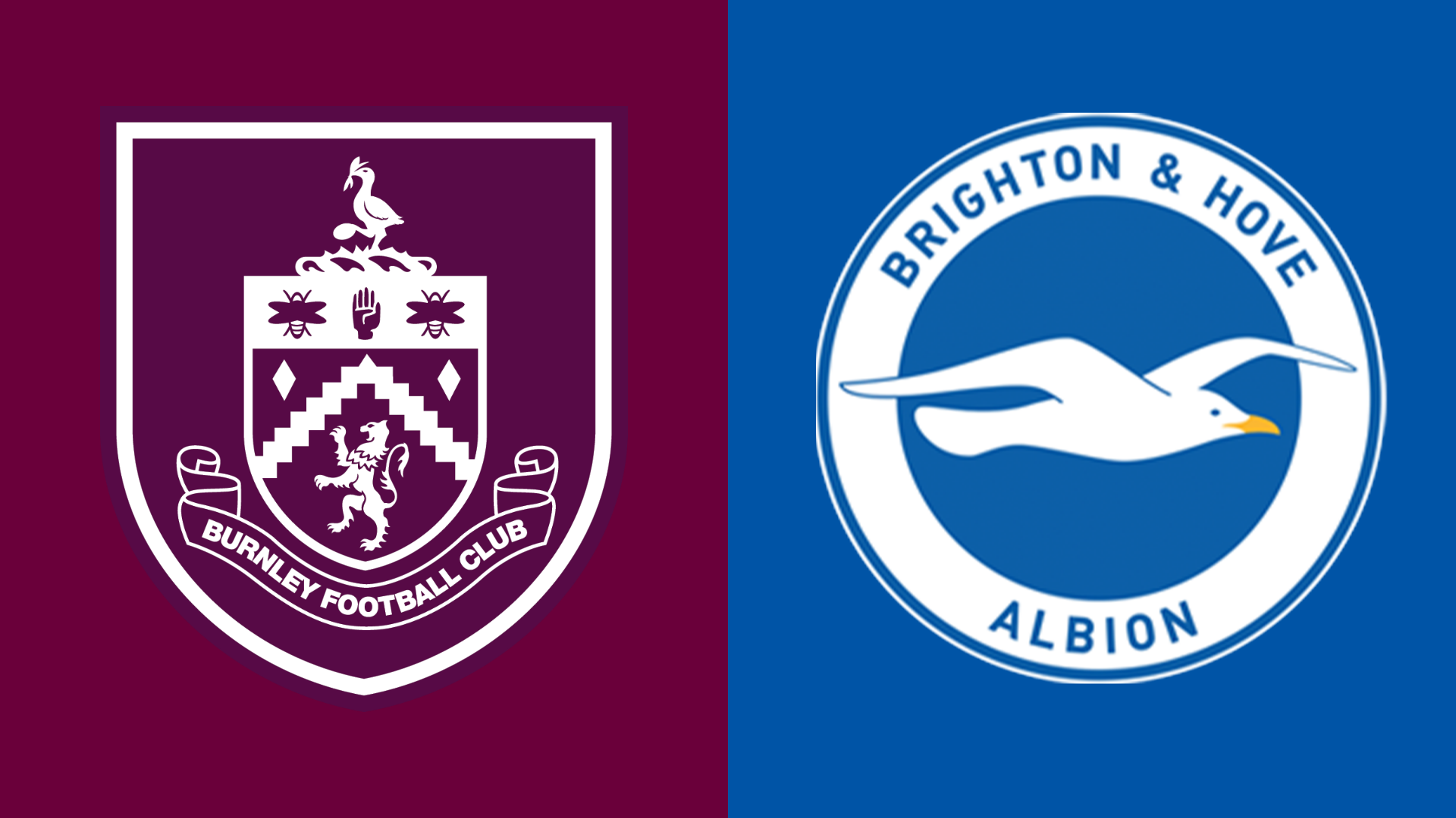 Burnley v Brighton