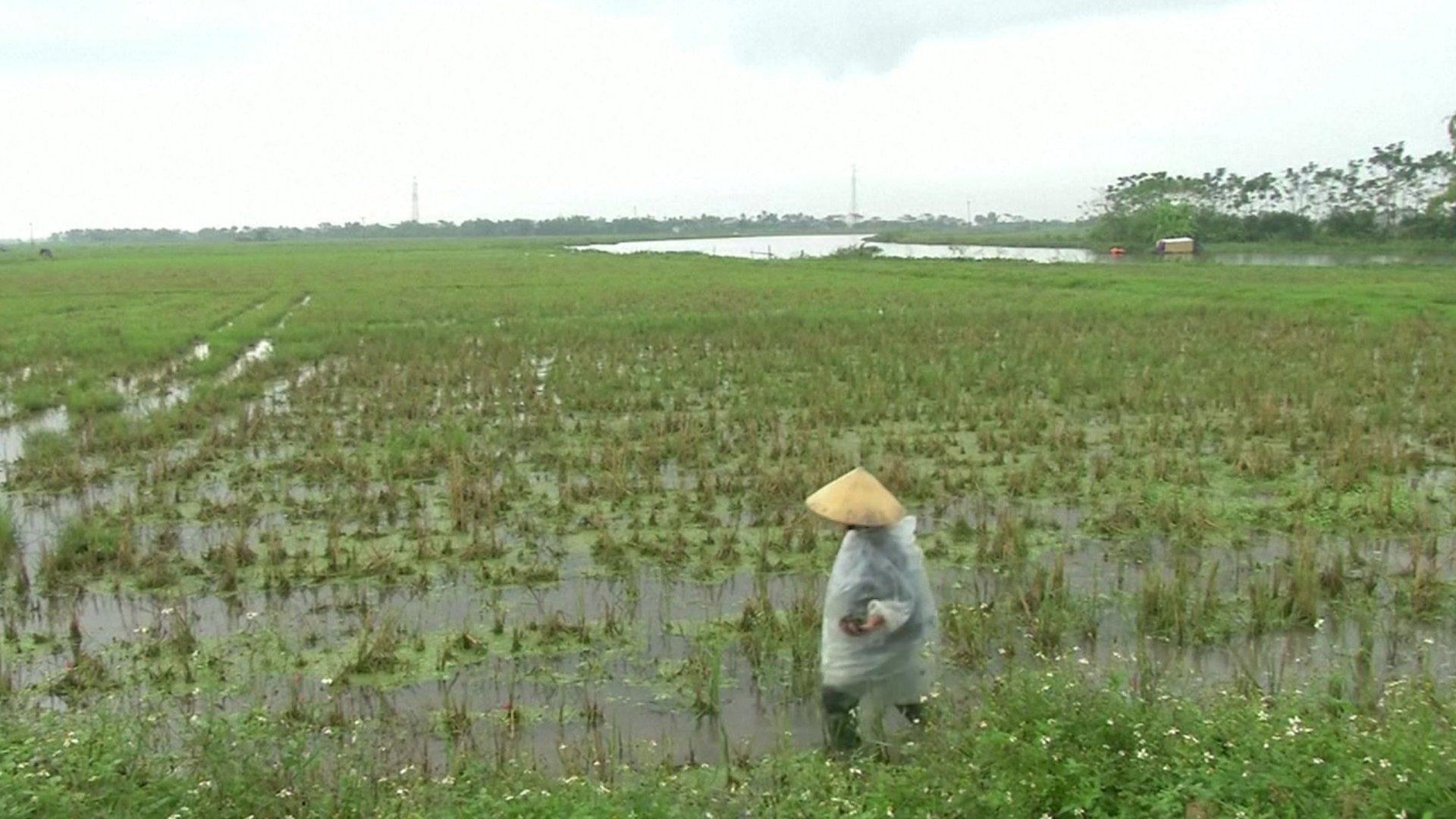 Yen Thanh, Nghe An