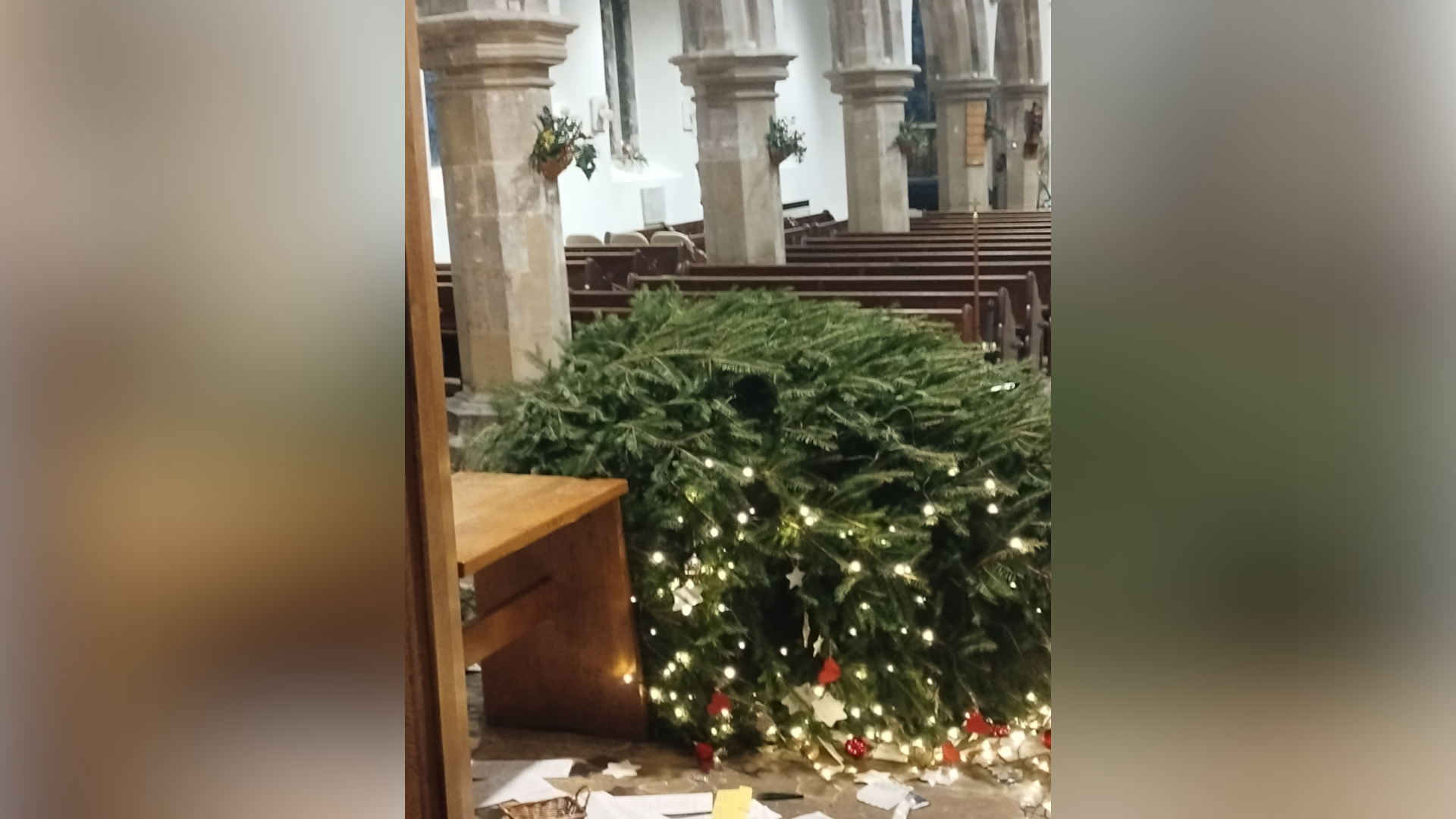 Another view of one of the Christmas trees that was torn down. Its lights and decorations lie around the floor after having fallen off. There are pews in the background behind the tree