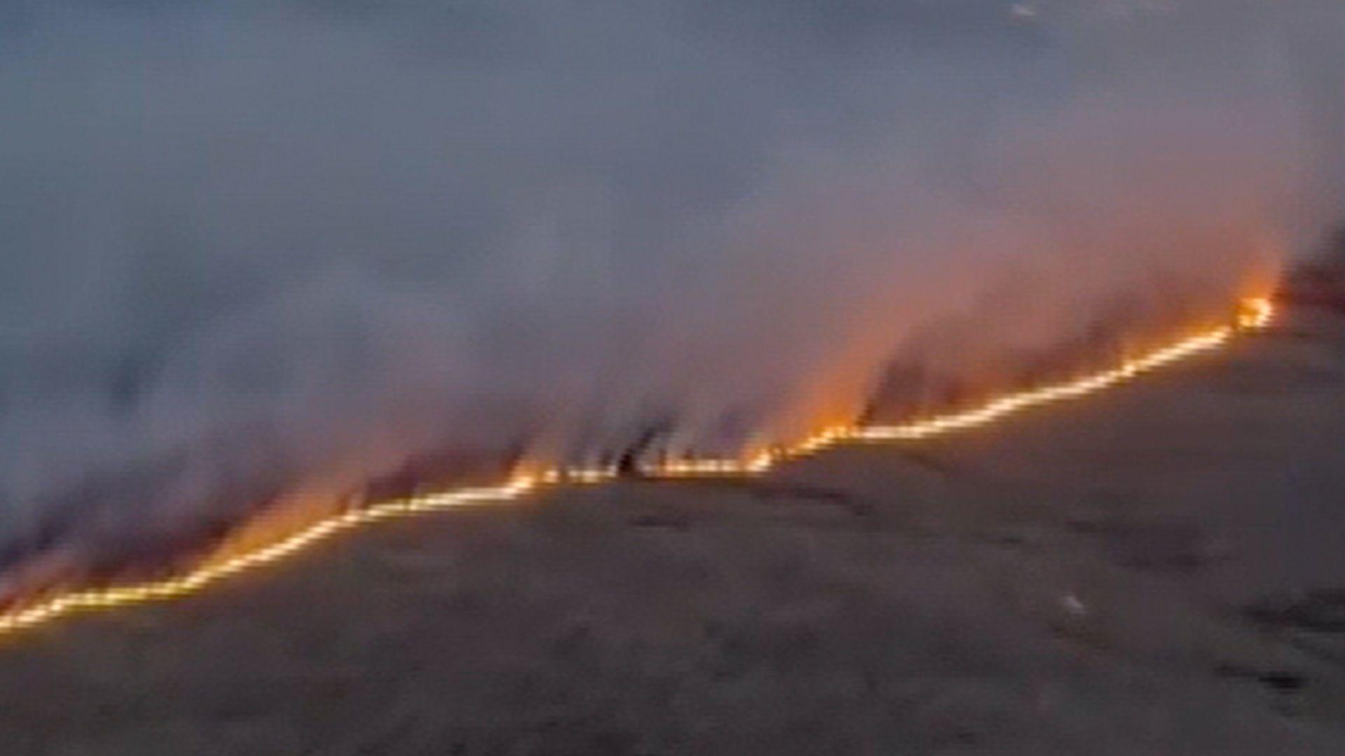 Tanau gwyllt yn ardal Pontrhydfendigaid