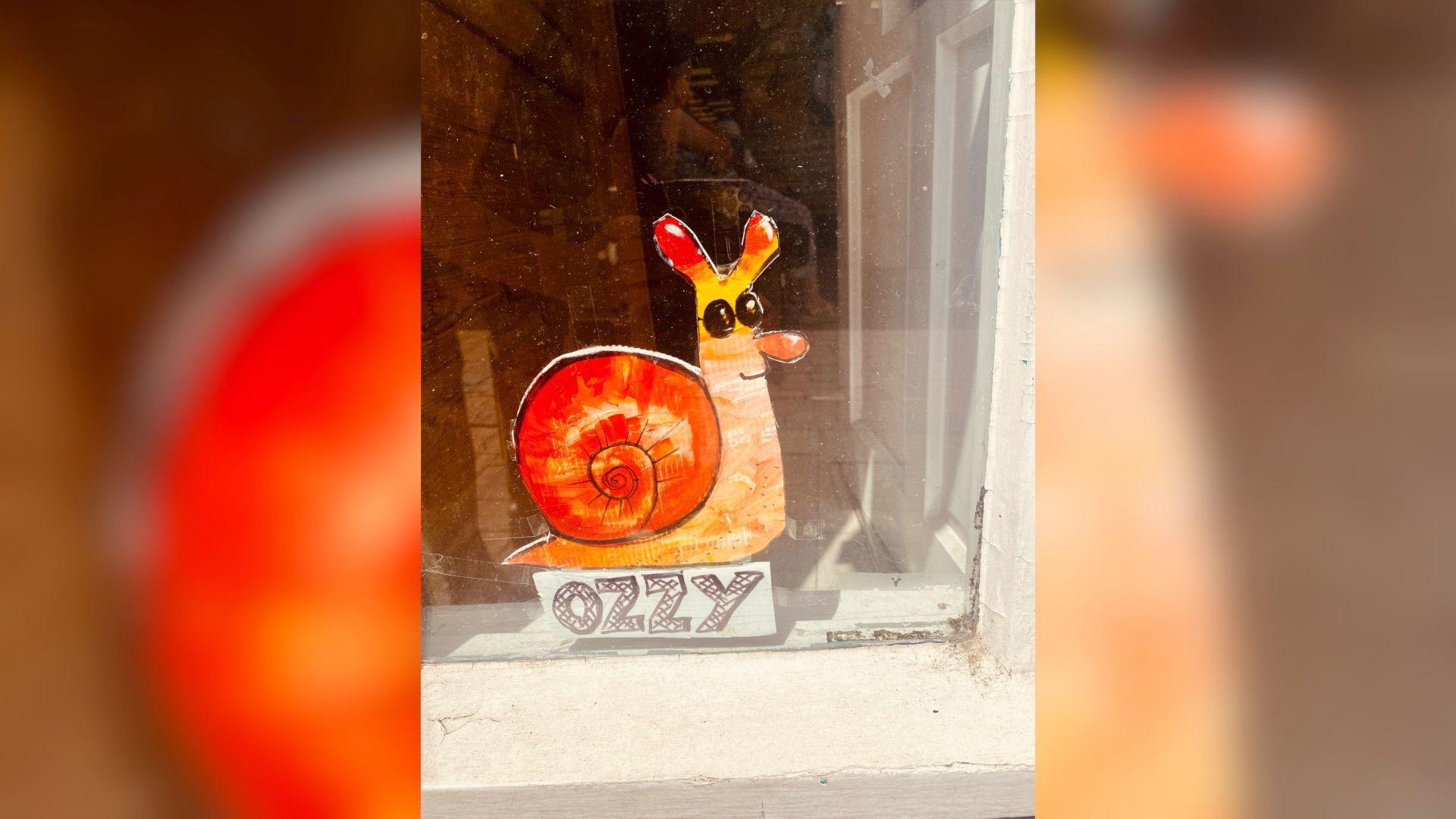 A snail illustration sits in a shop window. It has red antenna which fade into yellow and then orange for the rest of the snail's body. The snail is wearing round framed black sunglasses and has a bright orange swirly shell. There is a name tag underneath it which reads 'OZZY' in black bubble writing.