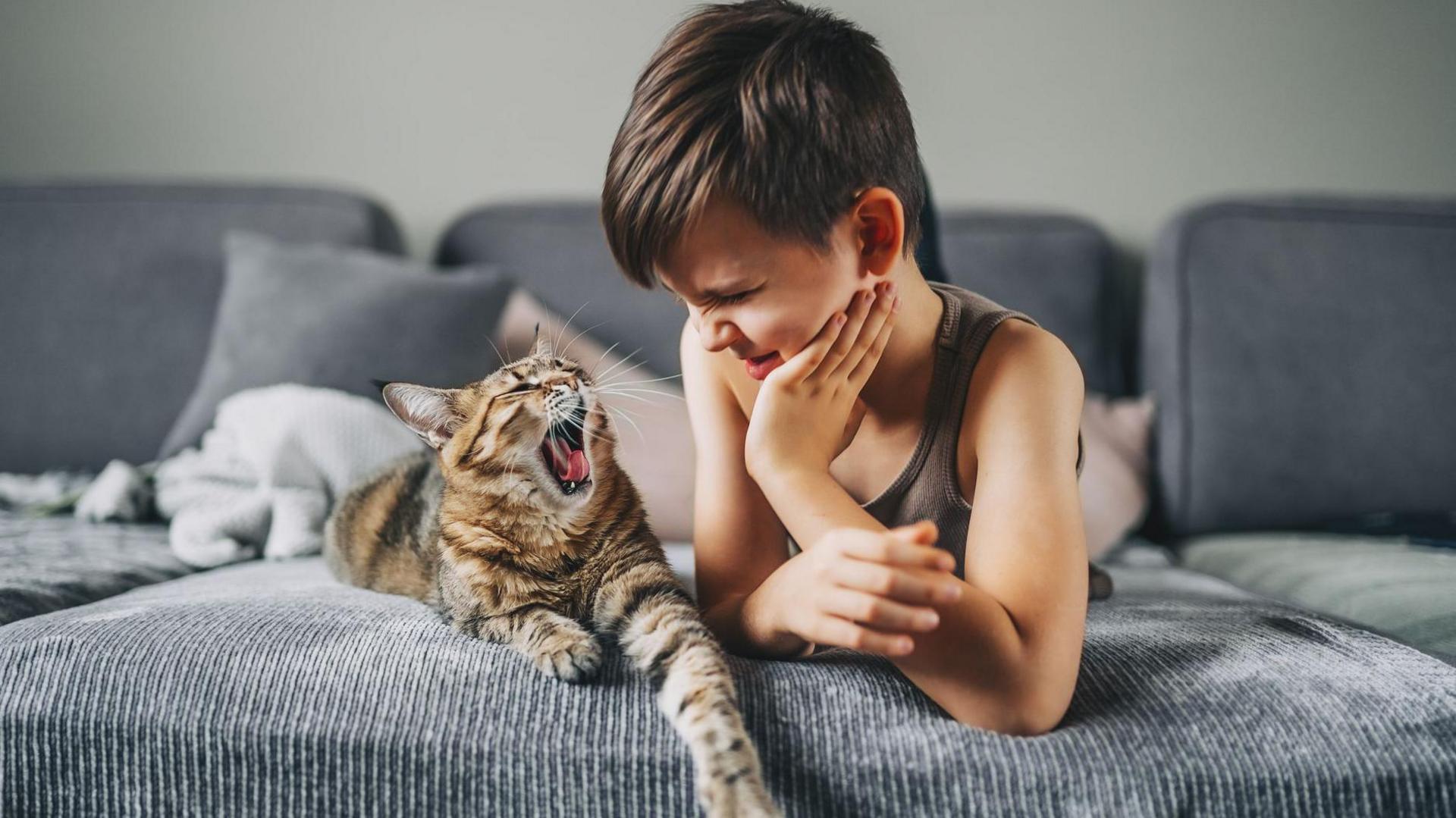 Boy looking at his pet cat lying on their stomachs on the sofa as the cat yawns