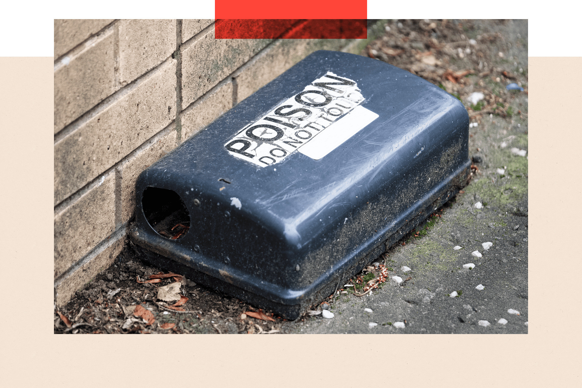 A rat poison trap box container 