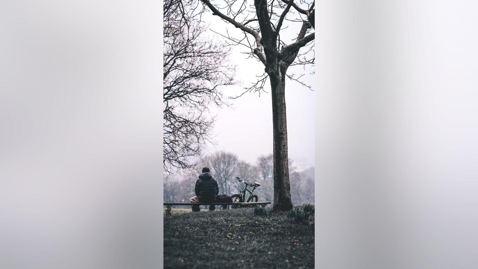 The back of a young man, alone on a park bench, with leafless winter branches framing him in the image. It is a portrait photo. One straight, thin tree strands to the right of the frame.