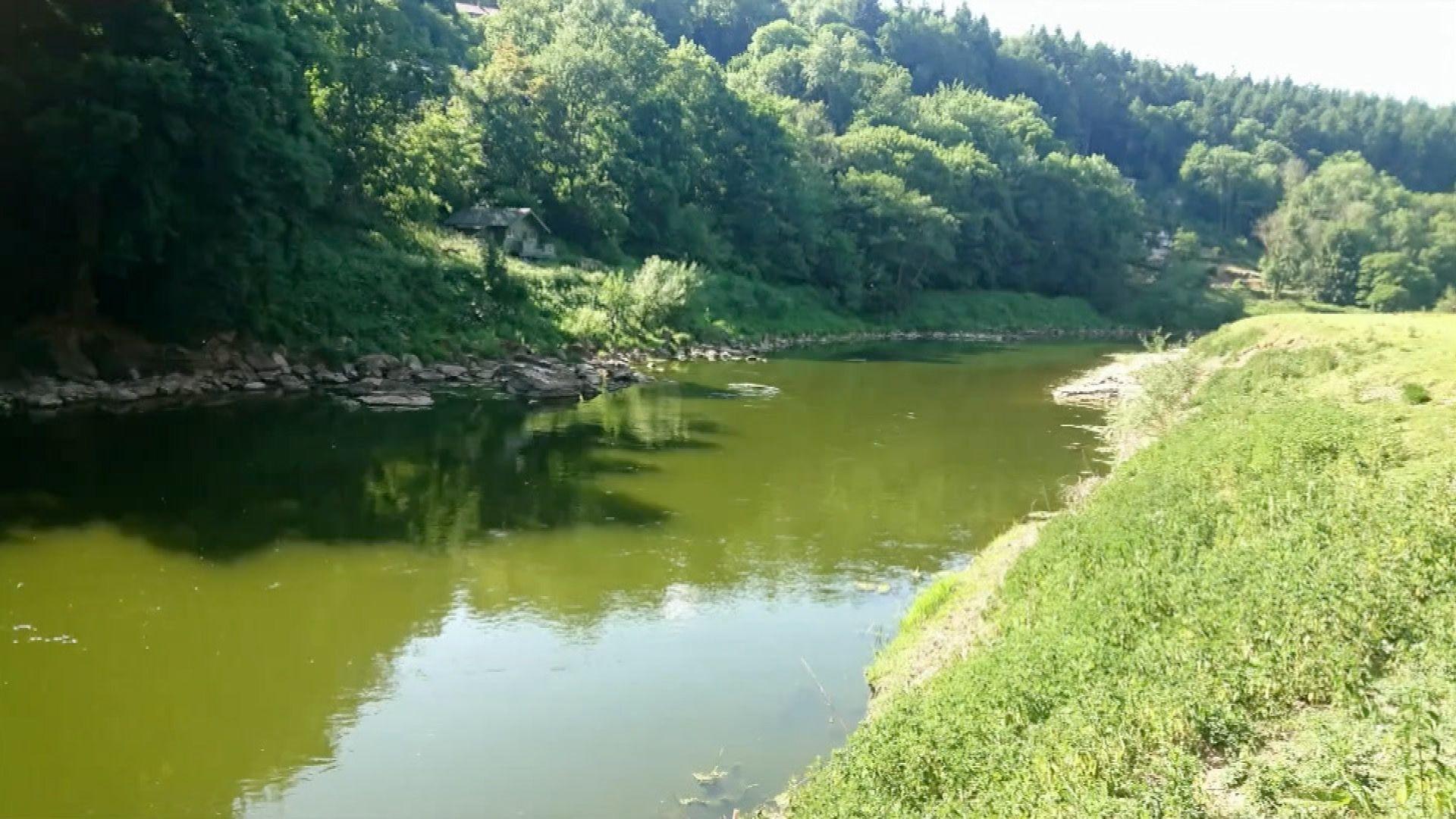 The River Wye has turned green due to algae. There is forest on one side and grassland on the other.