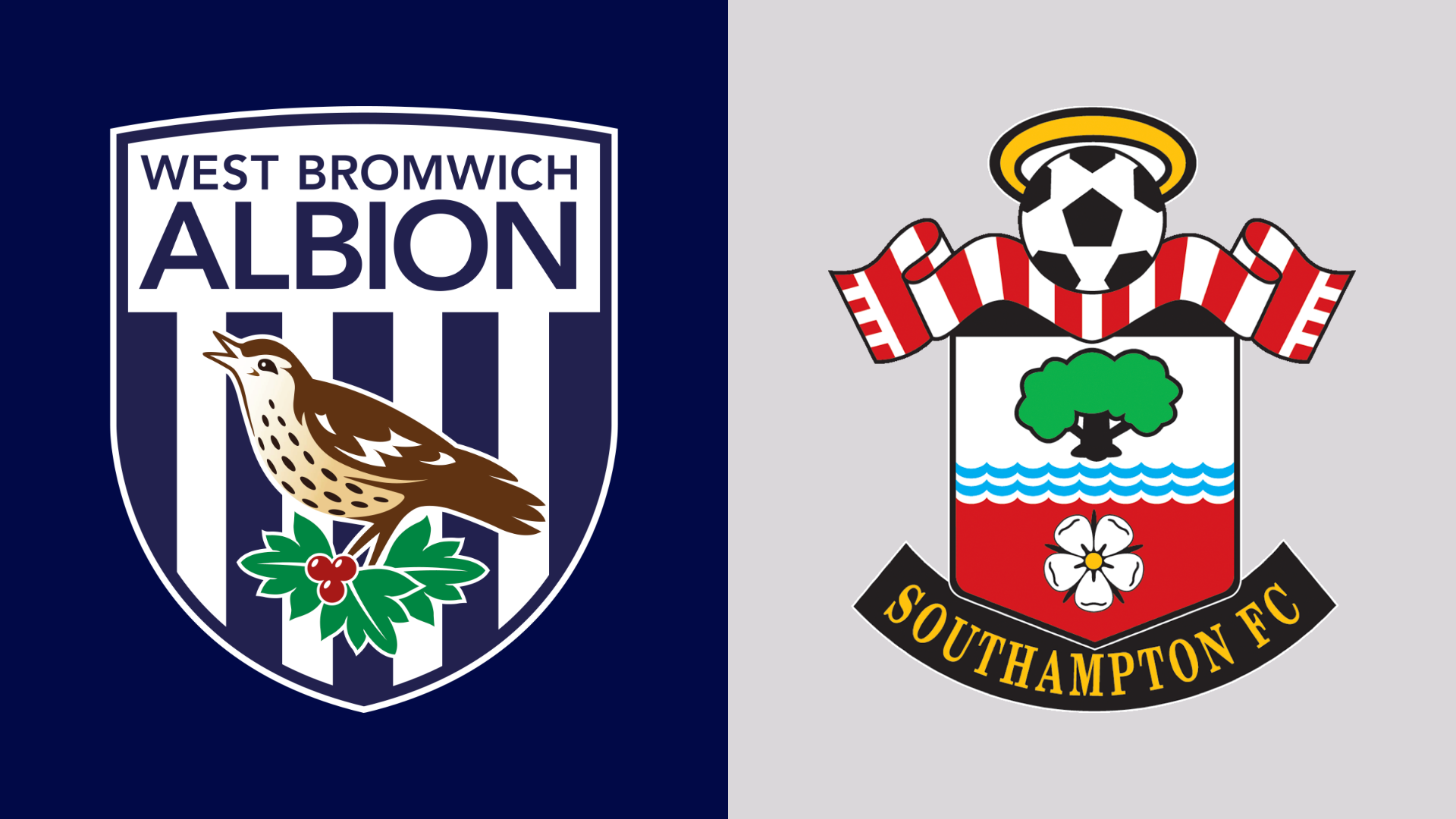 The West Bromwich Albion and Southampton club badges side by side. The WBA one shows a bird on a blue and white striped background. Southampton's has a tree standing over waves