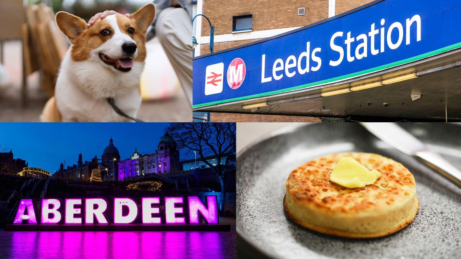 Corgi, Leeds, crumpet, Aberdeen