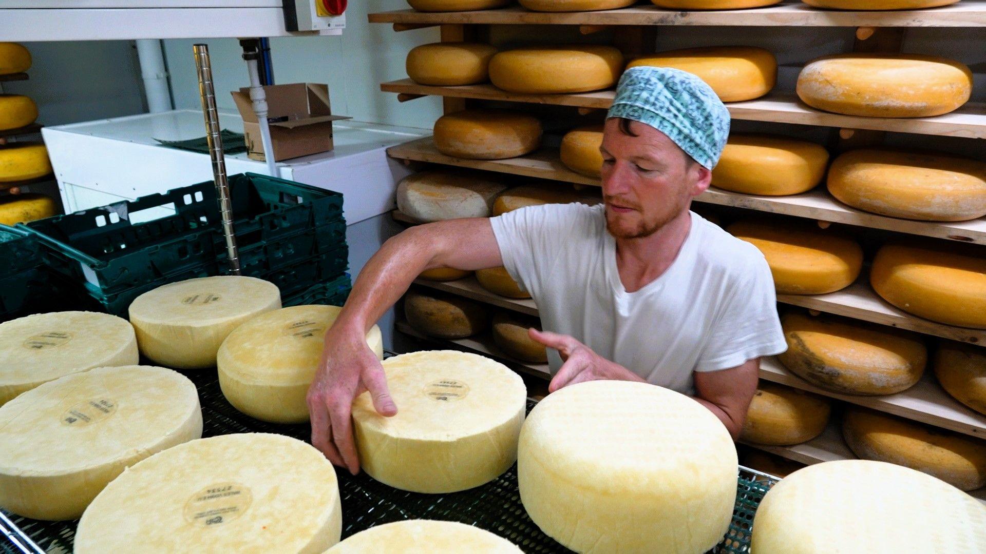 Rob Savage-Onstwedder turning the Caerphilly cheese