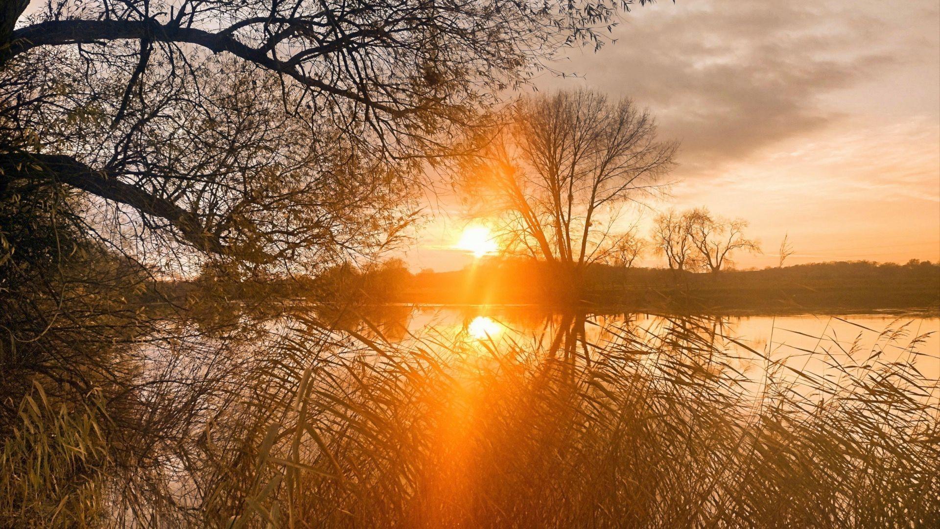 Sunset at Elmore with the sun creeping through the trees and reflecting off the water.