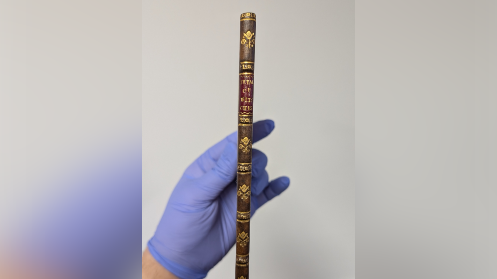 A view of the book's thin binding. It is brown with some gold details. A person wearing blue gloves holds it.