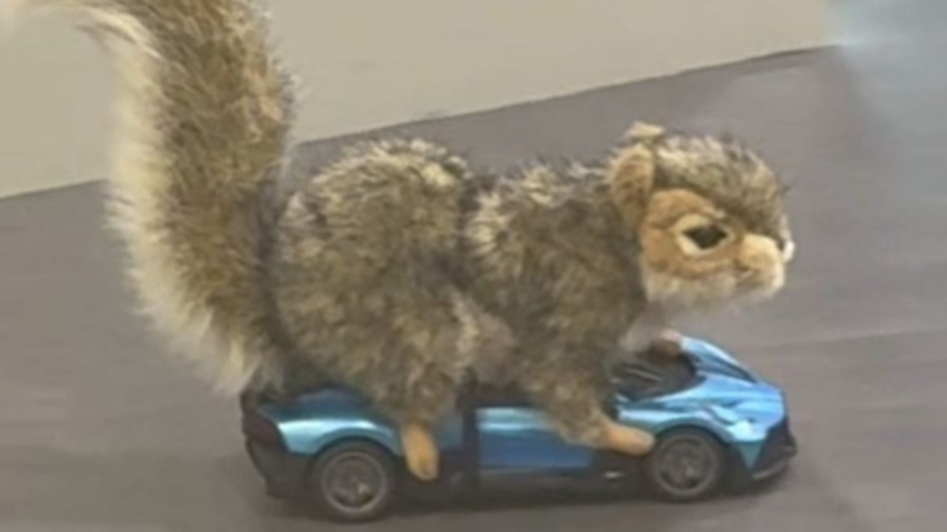 The remote-controlled squirrel