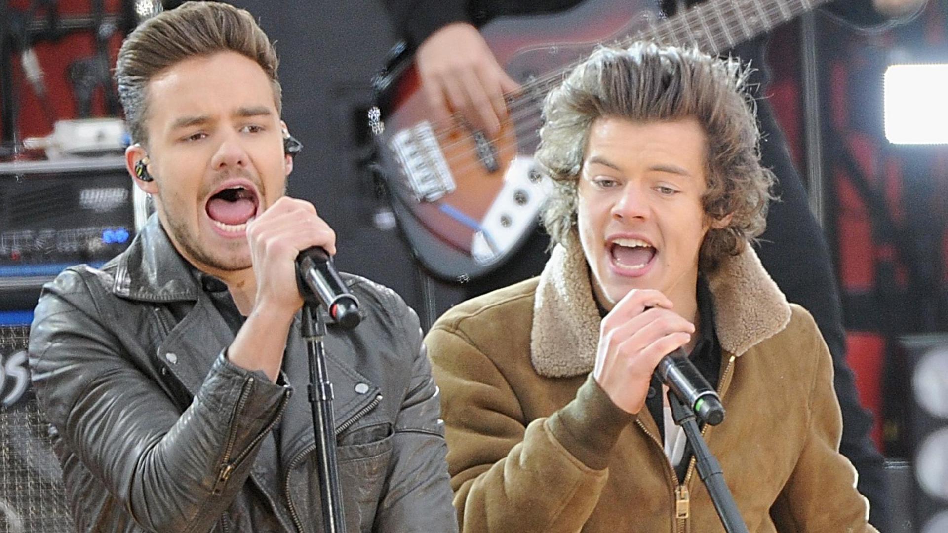 Liam Payne and Harry Styles perform with One Direction in 2013