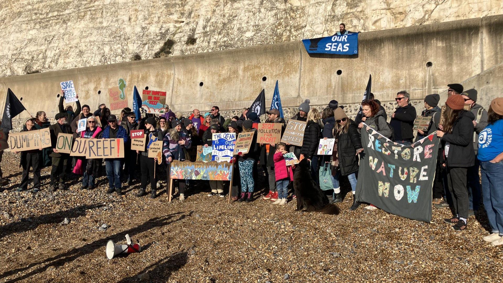 A score of protesters hold placards and flags