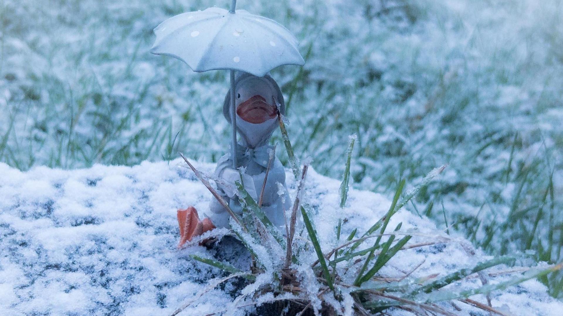 A smal duck statue wearing a white coat with a bow and holding an umbrella sits in long grass. There is snow lying on the ground.