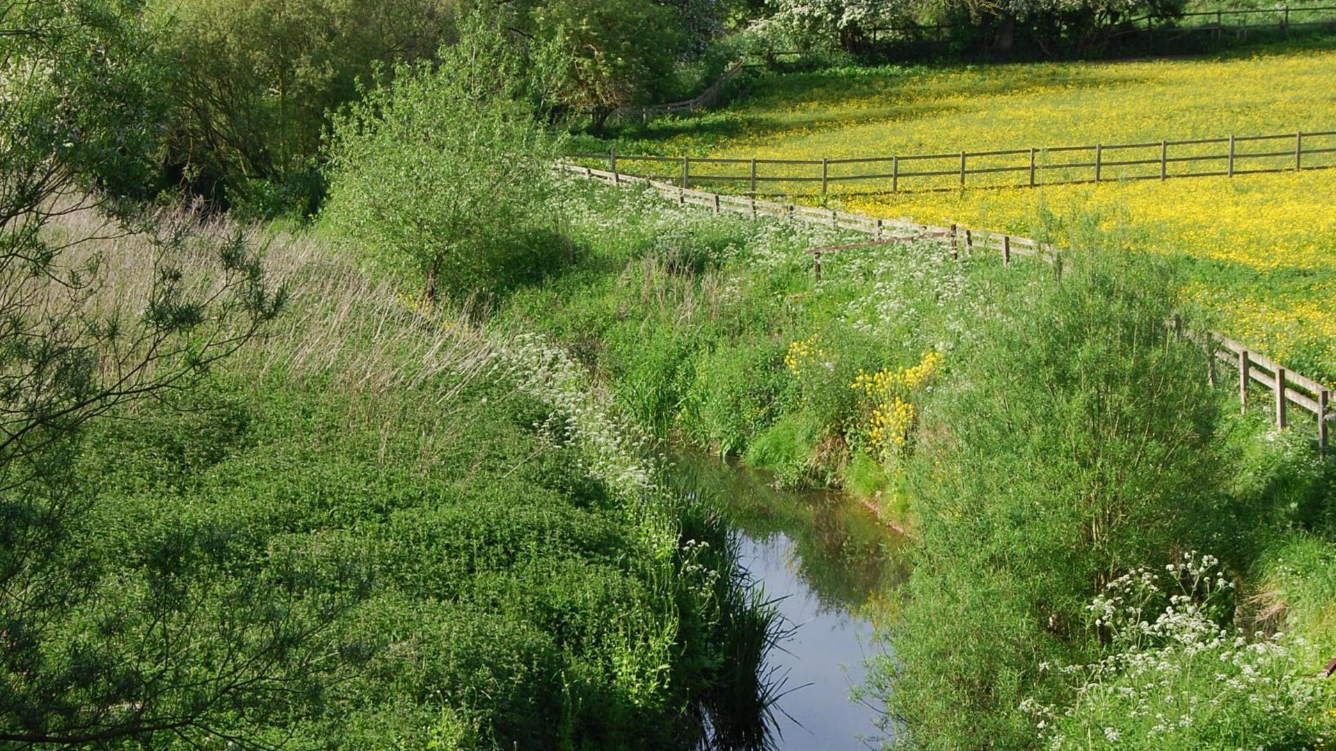 Billingham Beck Valley Country Park 