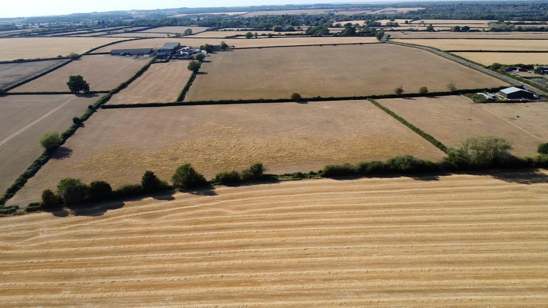 Light brown fields from above