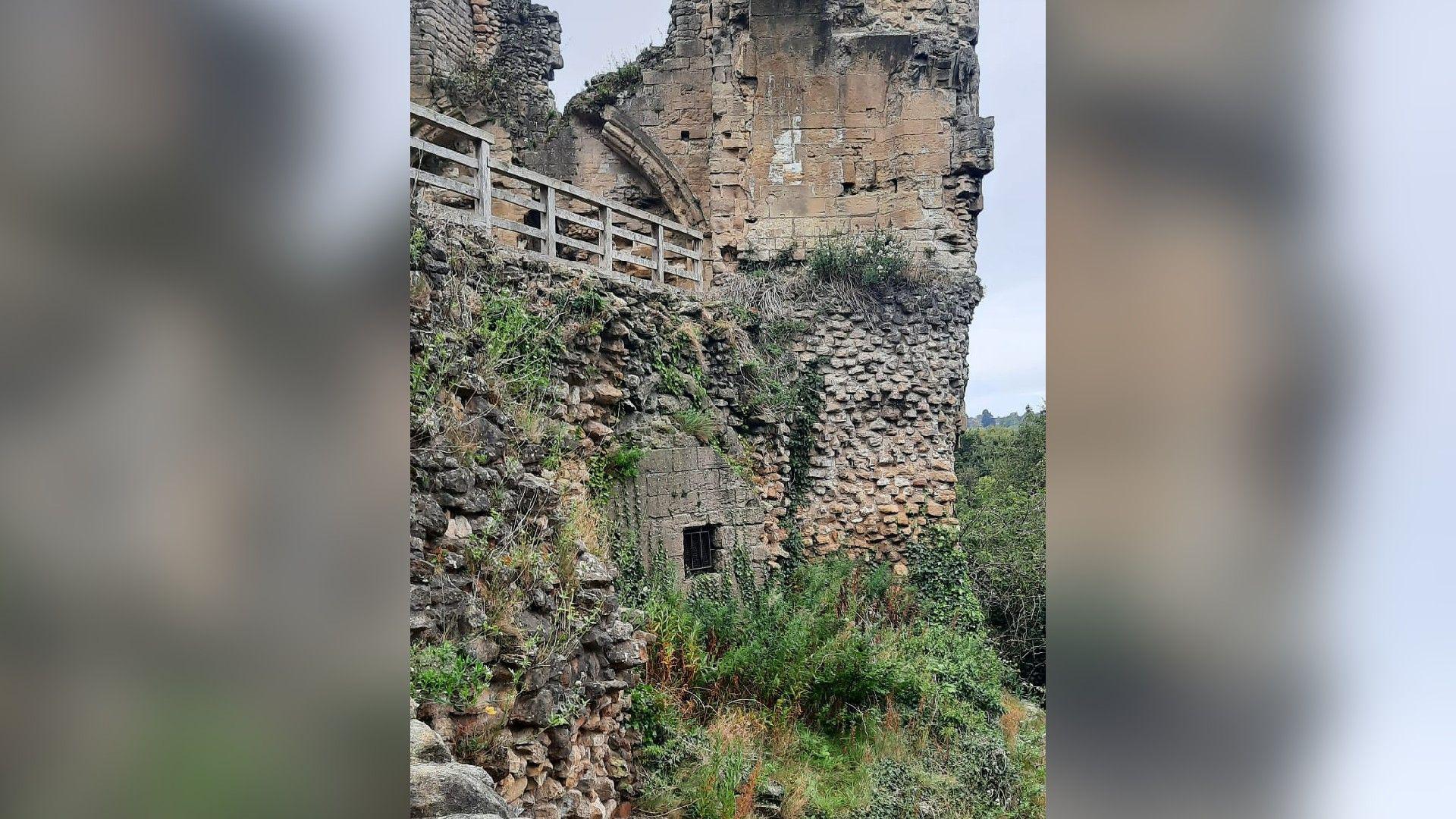 Castle ruins covered in weeds and greenery.