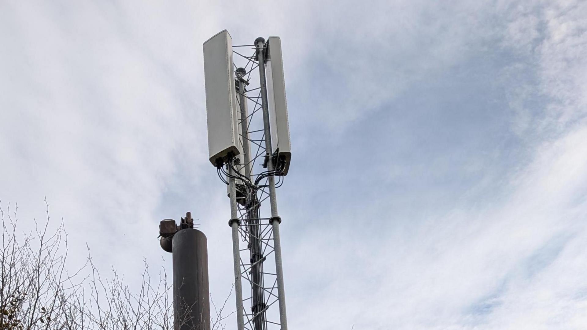 The top of mobile phone/internet mast. The mast is high in the sky above a tree. The photo is taken looking up at it, taken on a cloudy day.