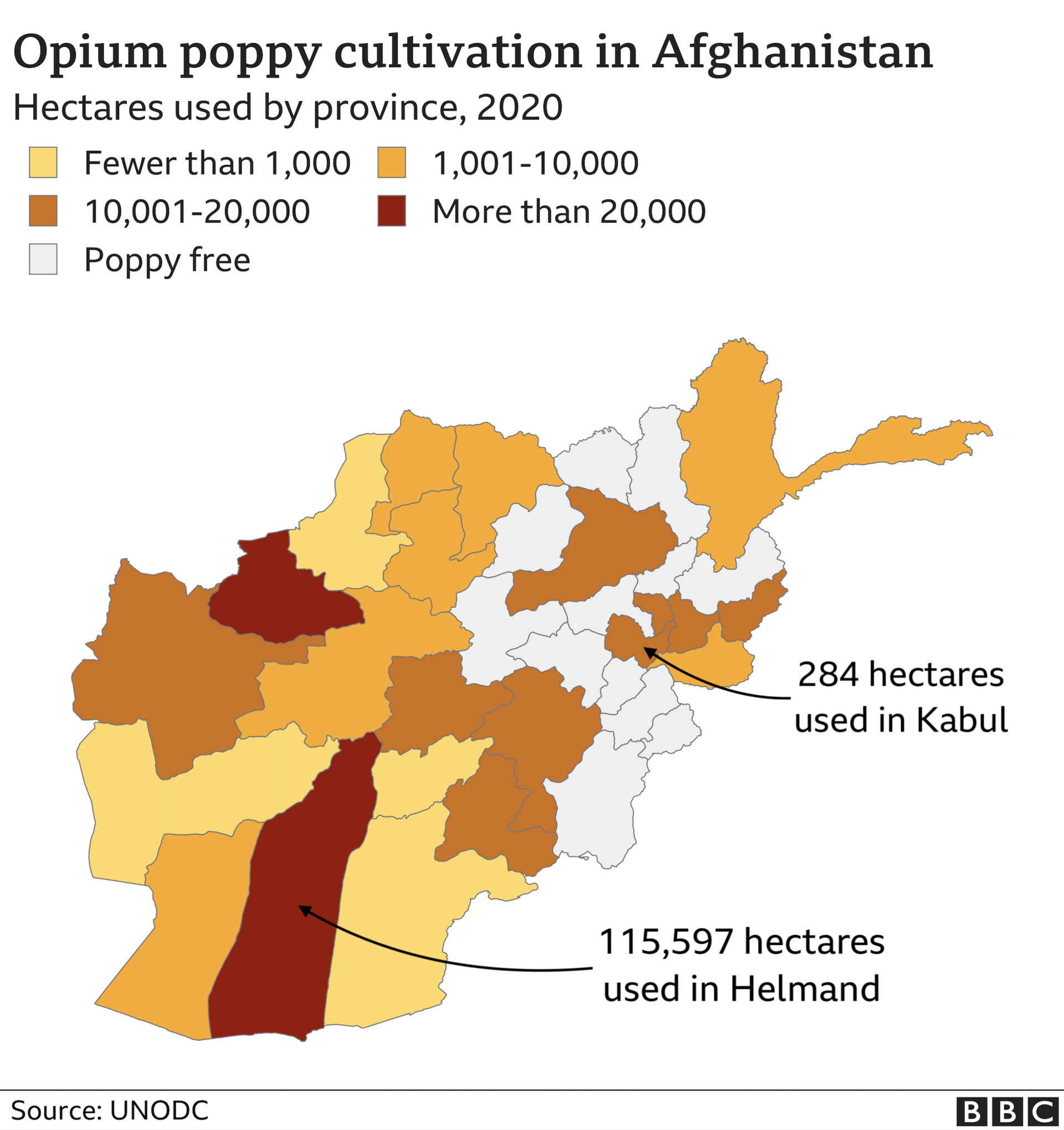 Poppy cultivation