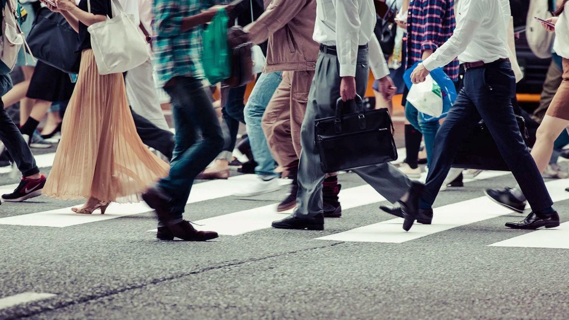 A large number of people walking across a pedestrian crossing. 