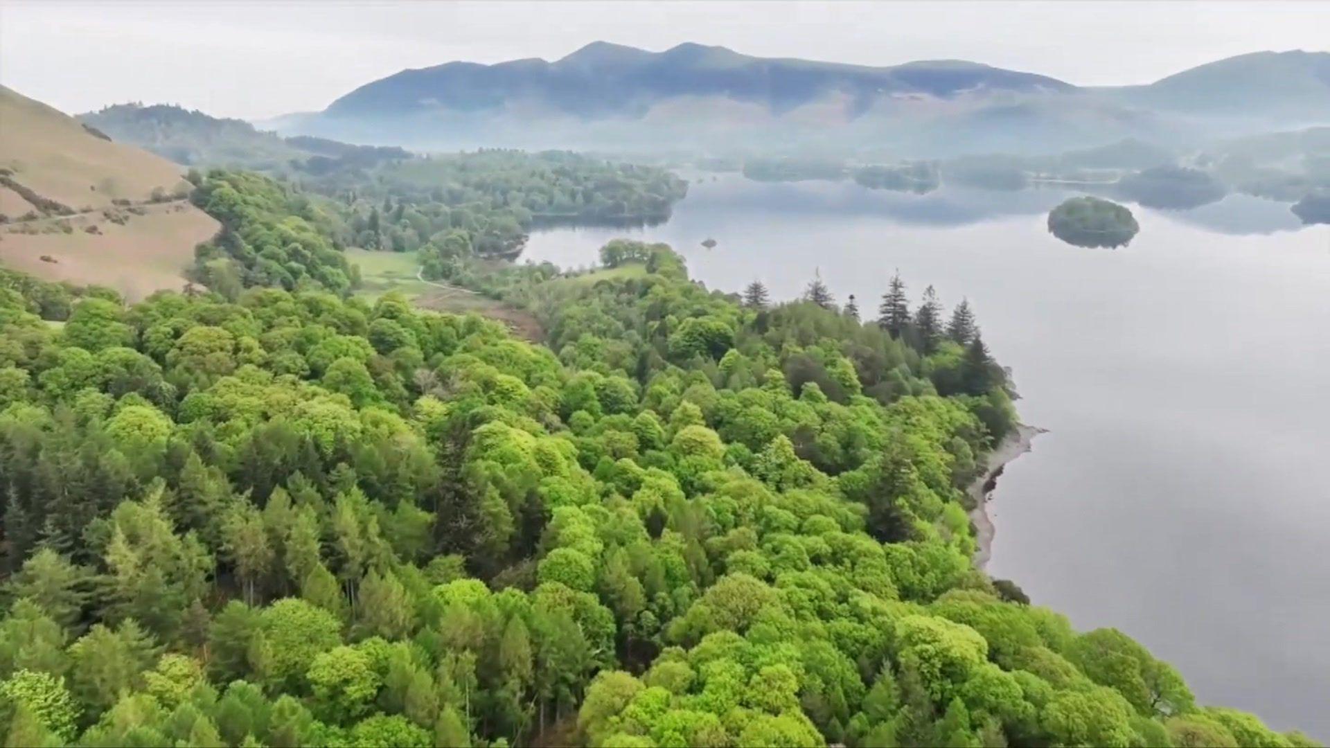 A drone shot looking over the Borrowdale Valley, with a green forest and a wide lake